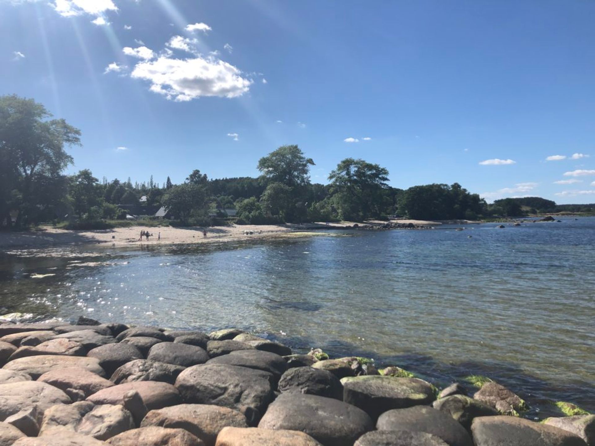 Österlen, southern Sweden, June 2019