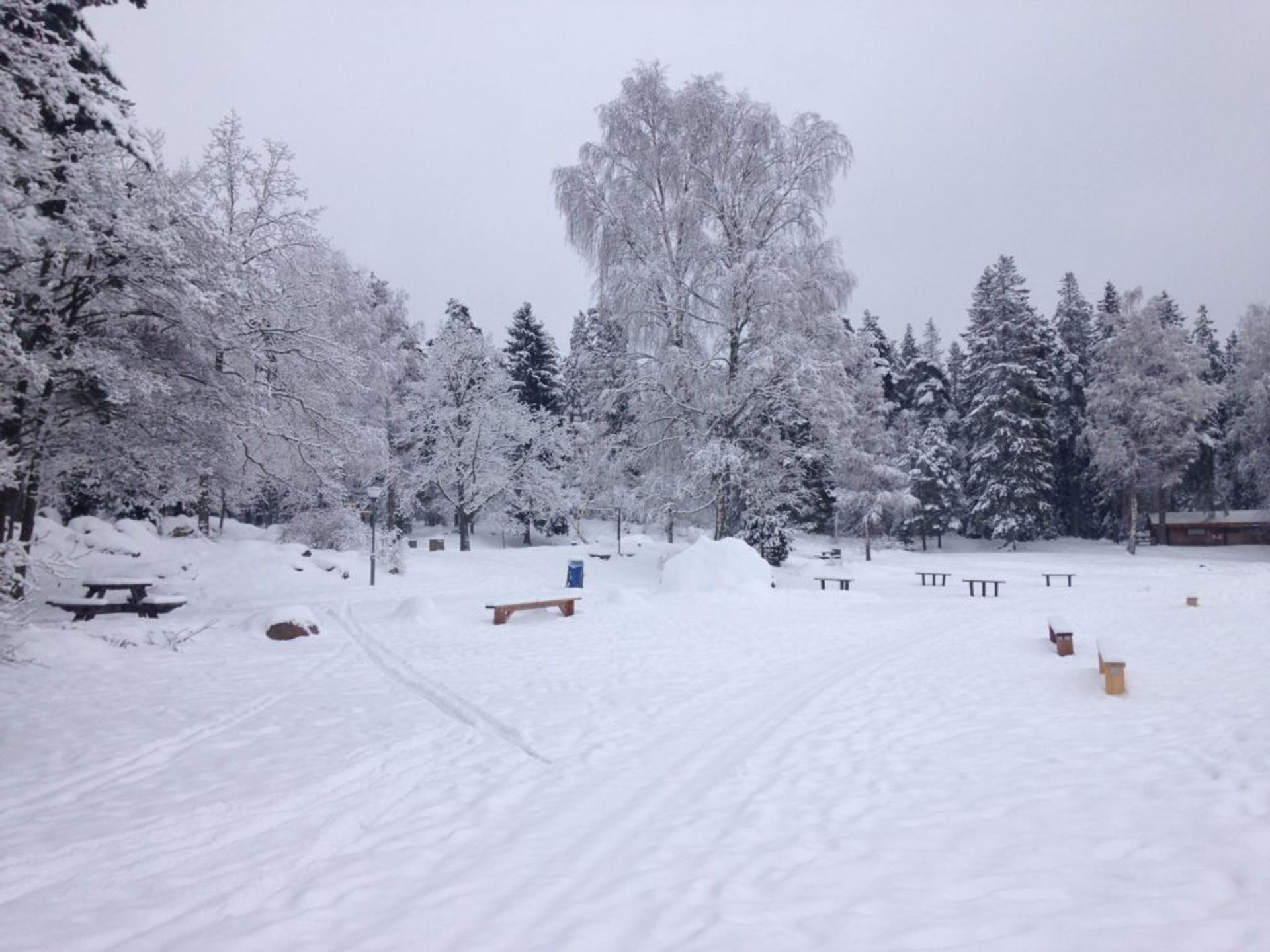 Snowy landscape, Uppsala county