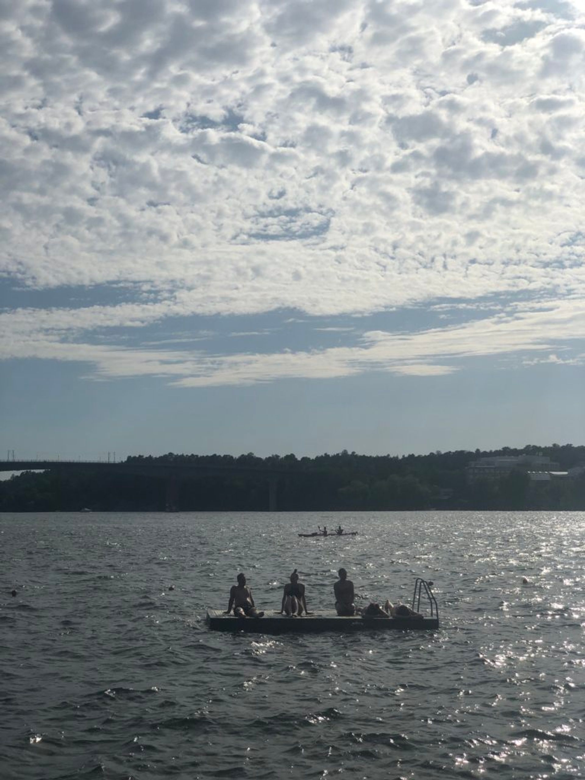 Swimmers in Stockholm 2019