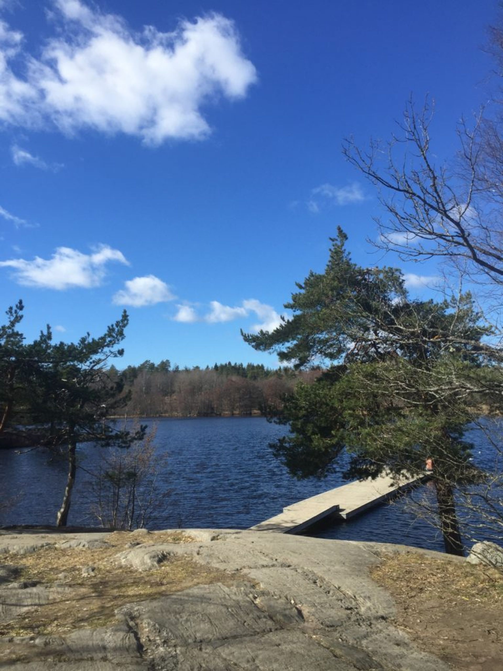 Lake and rock and trees