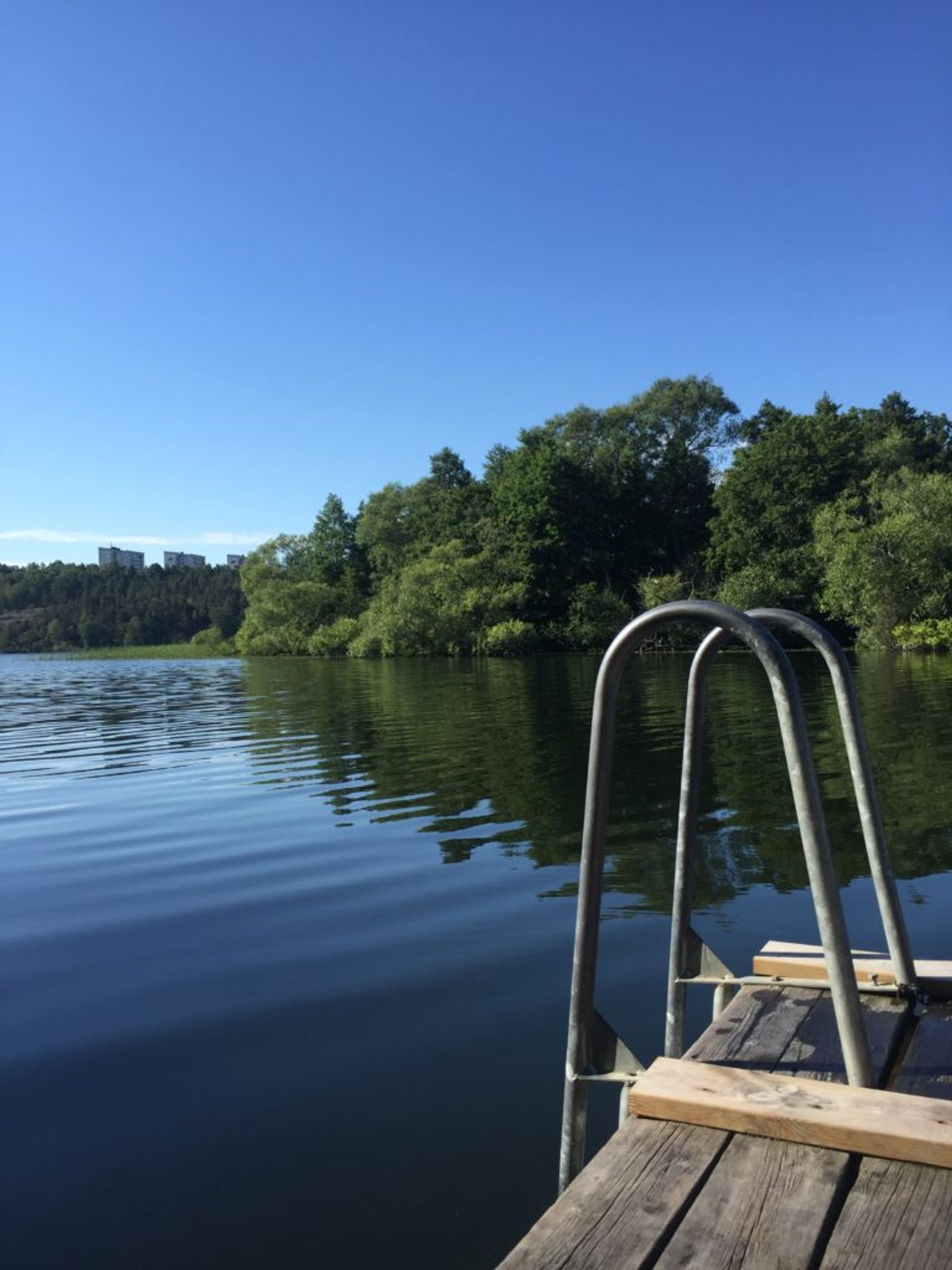 An 8am morning swim, July 2018