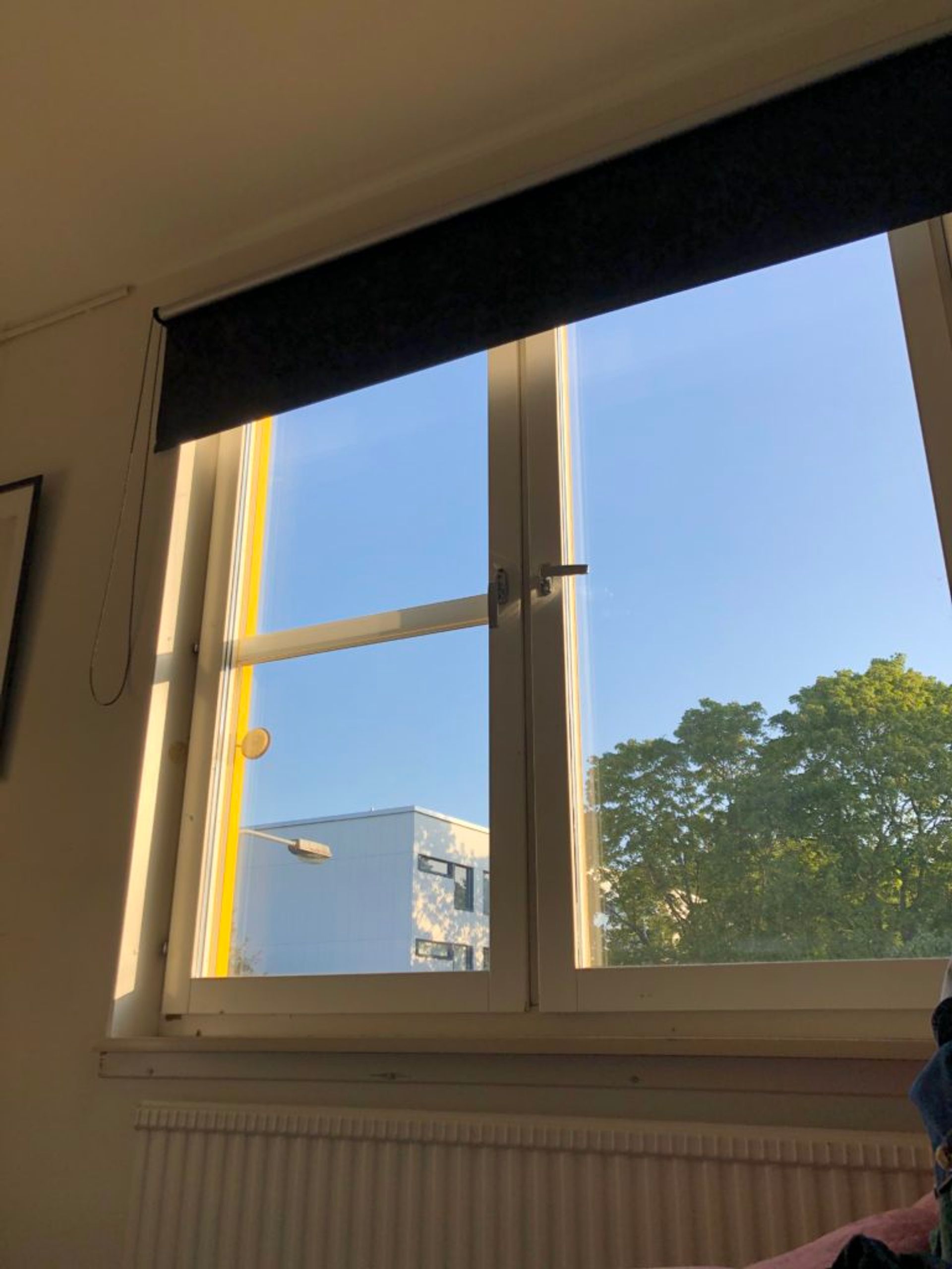 A student room in early August morning 