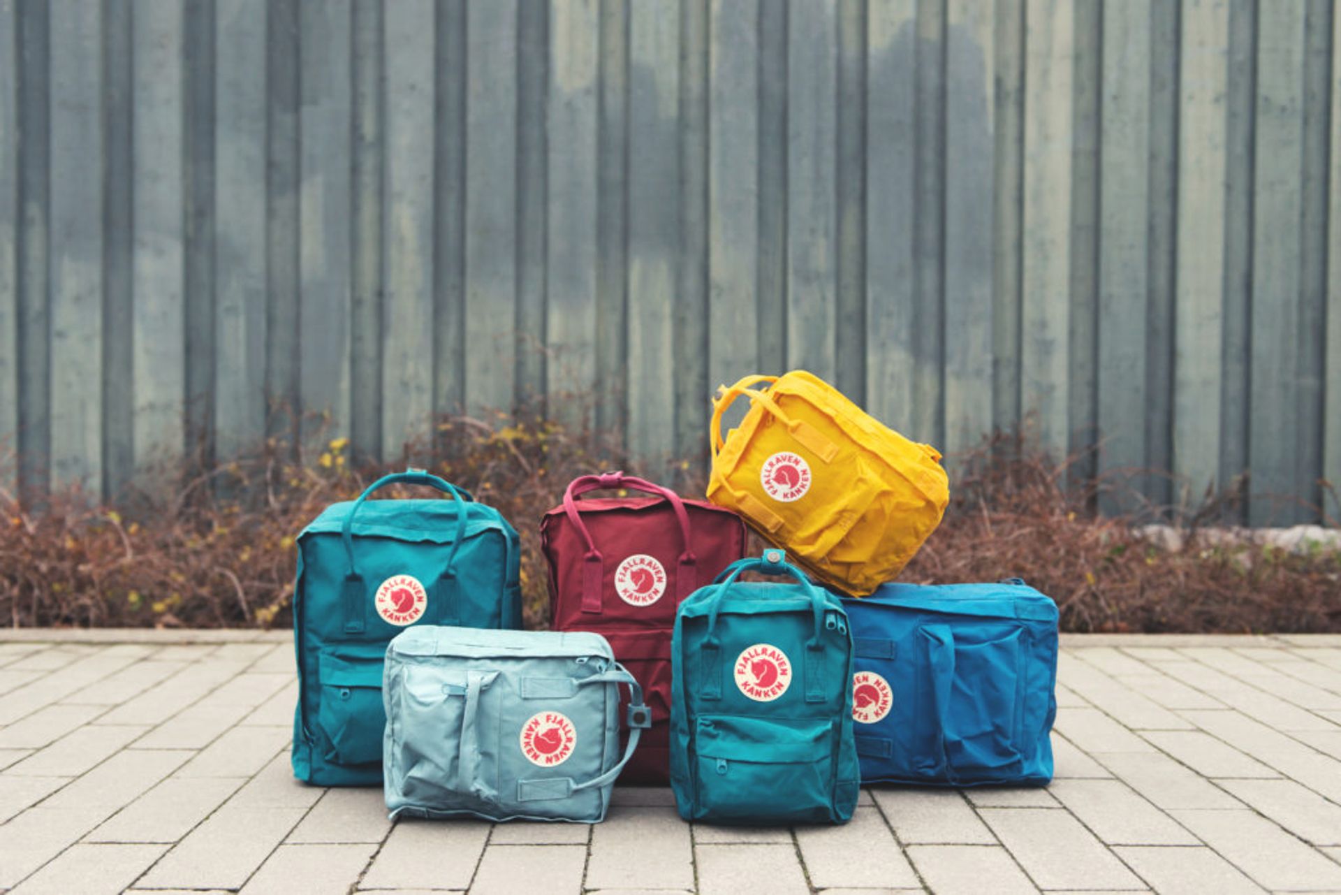 Several backpacks in different colours.