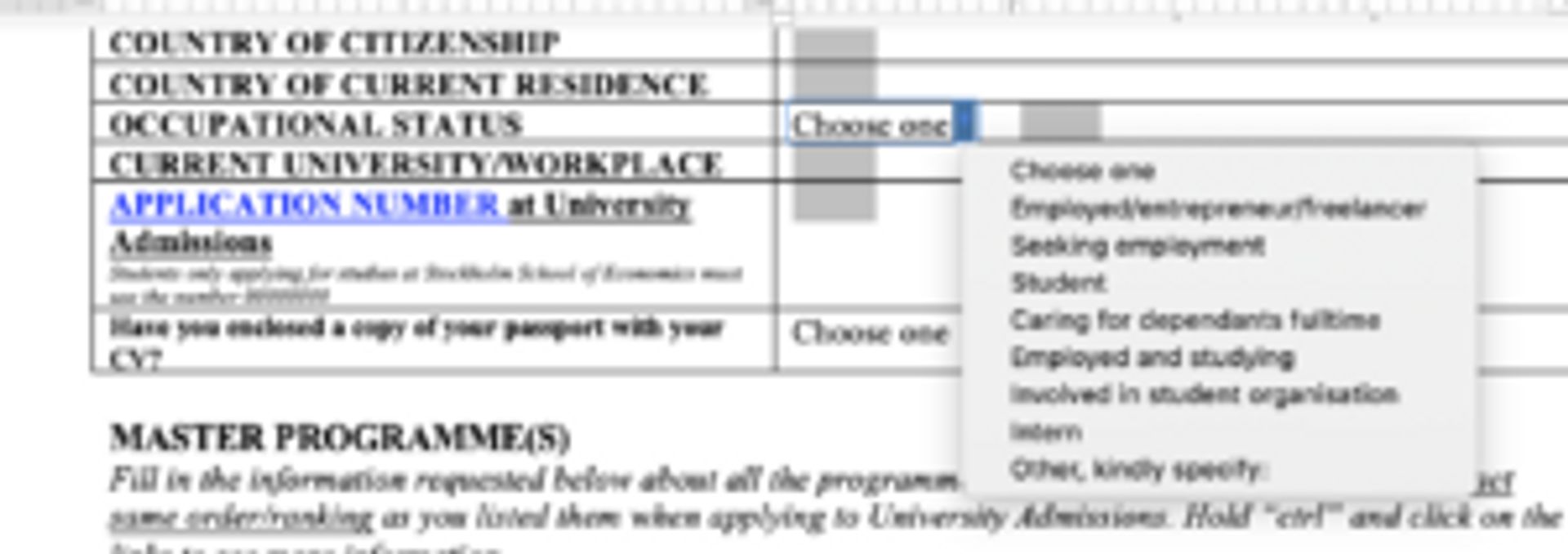 Screenshot of motivation letter form showing different options to fill out.