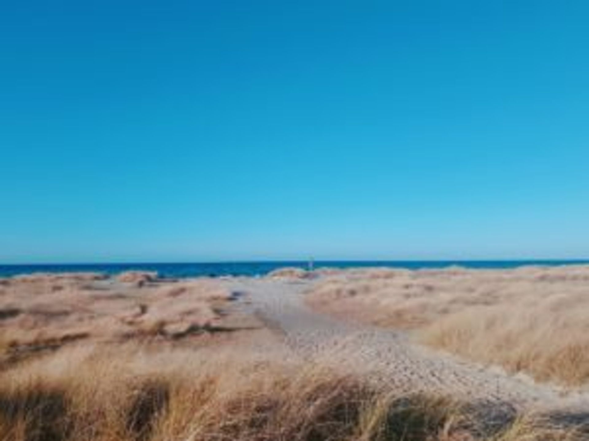 A sandy path leading to a beach.