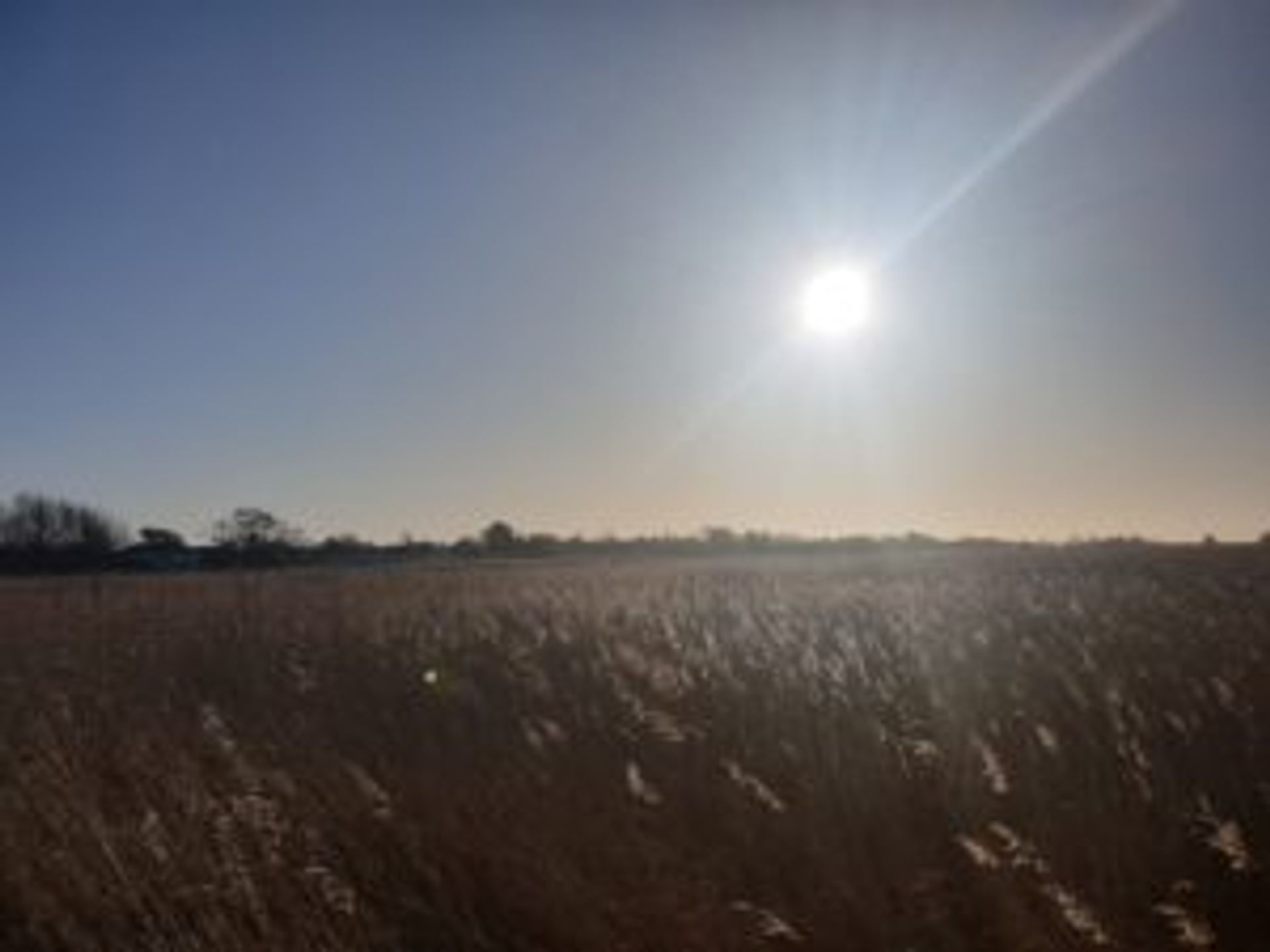 The sun shining over a field.