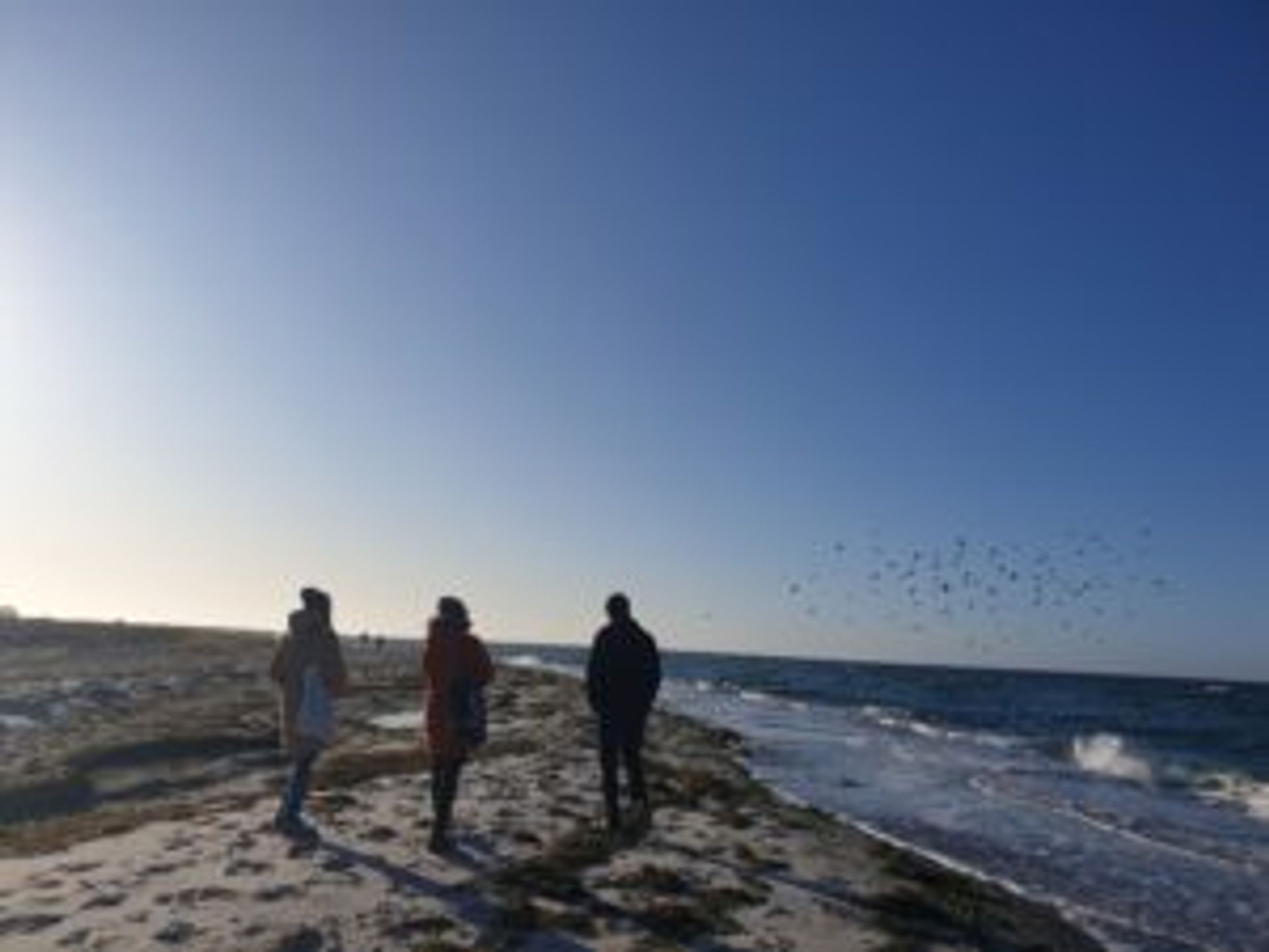 Three people standing on a beach.