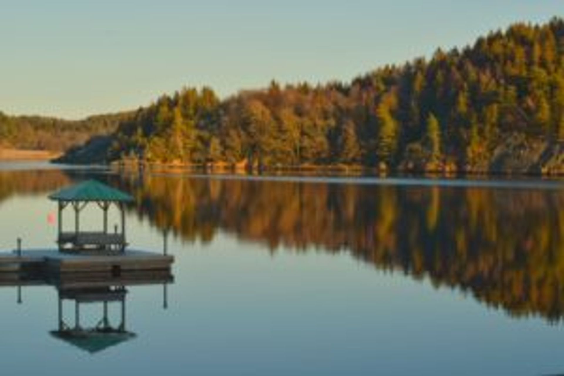 A lake with smooth glassy mirror reflections of pine trees on the West Coast of Sweden. 