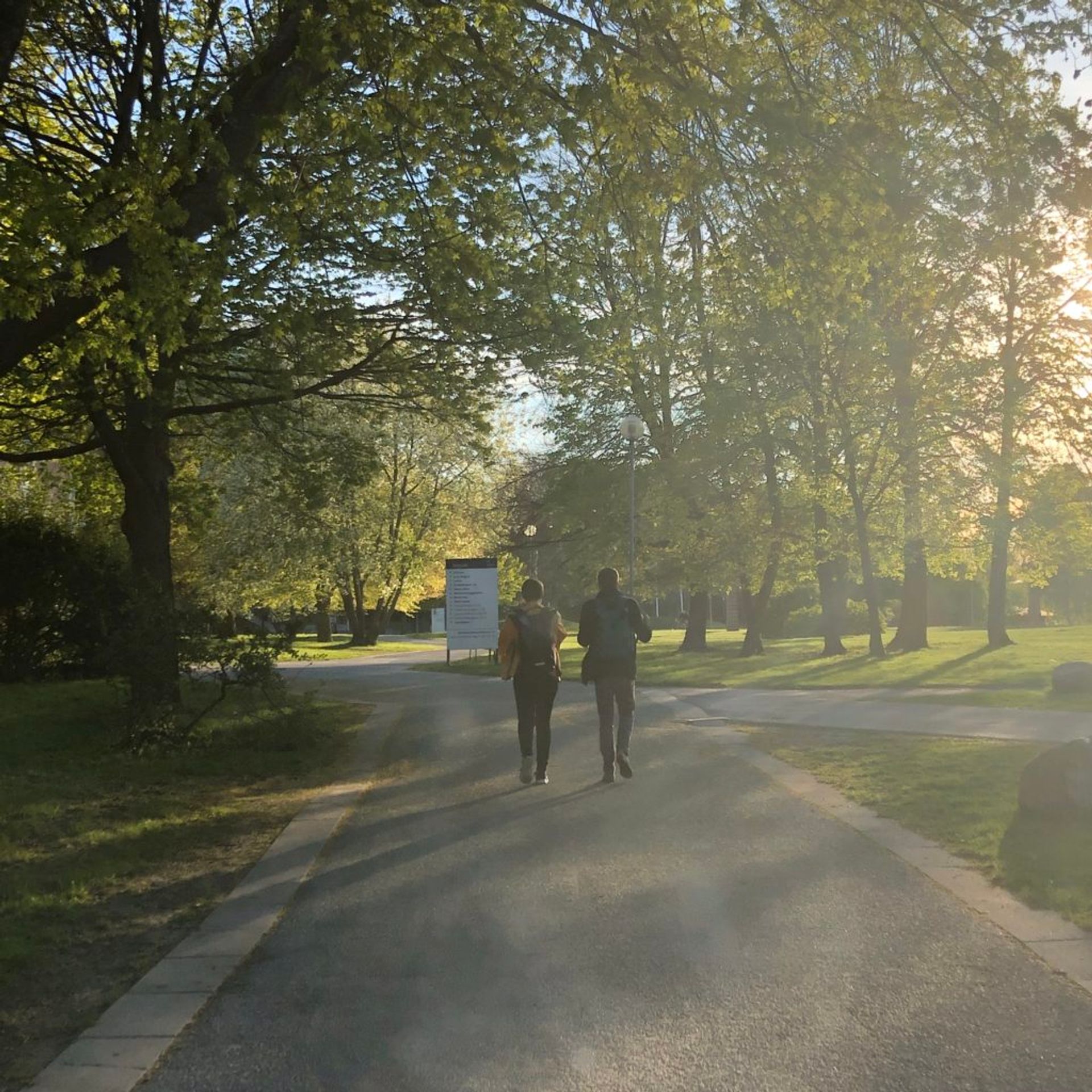 Two students walking on a path.