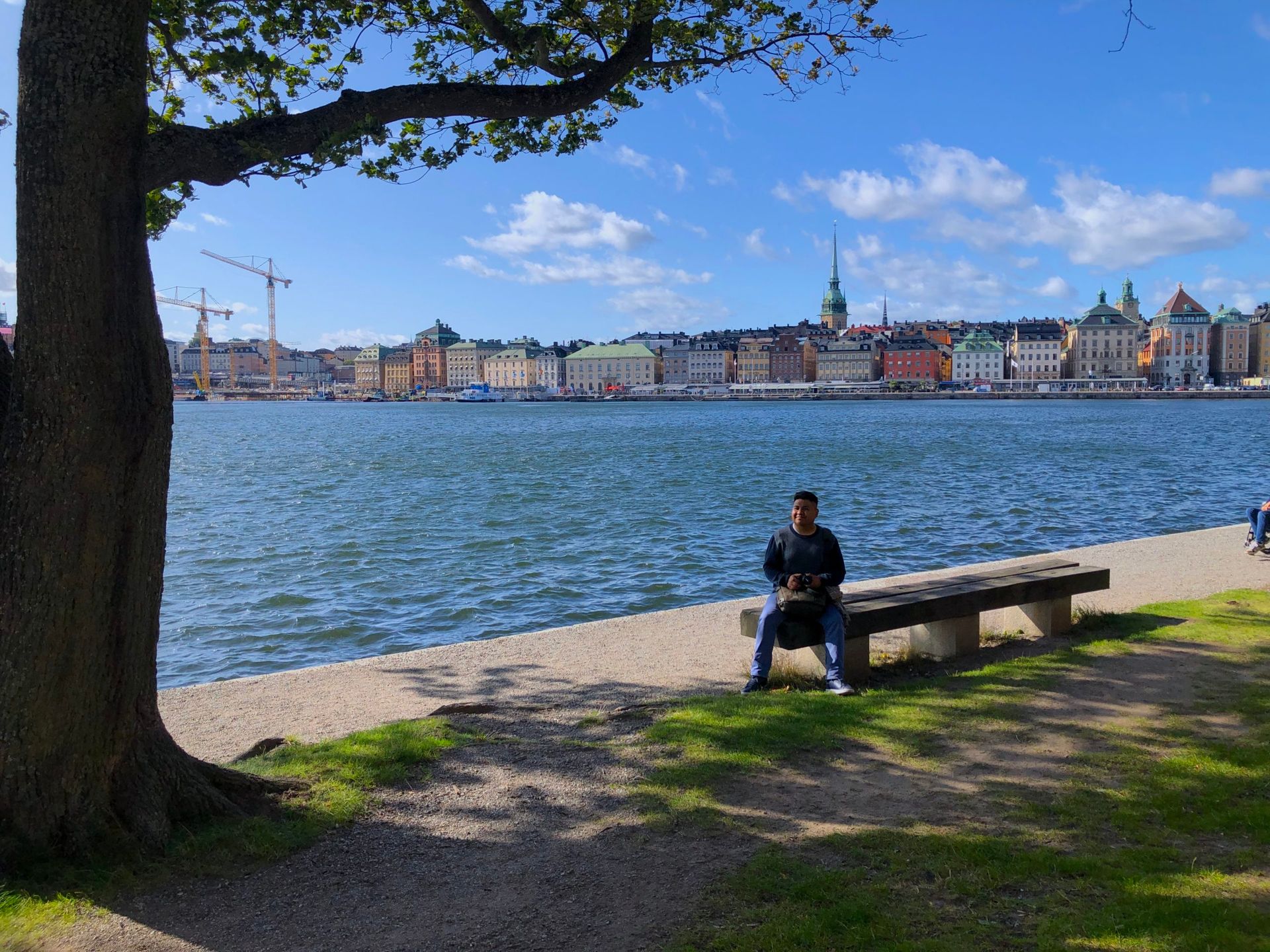 Camilo sits on a park bench under a tree, looking at the view of Stockholm's Old Town.