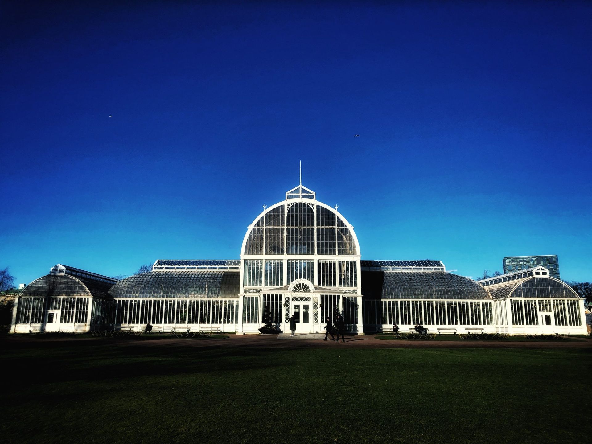 A large greenhouse at night.