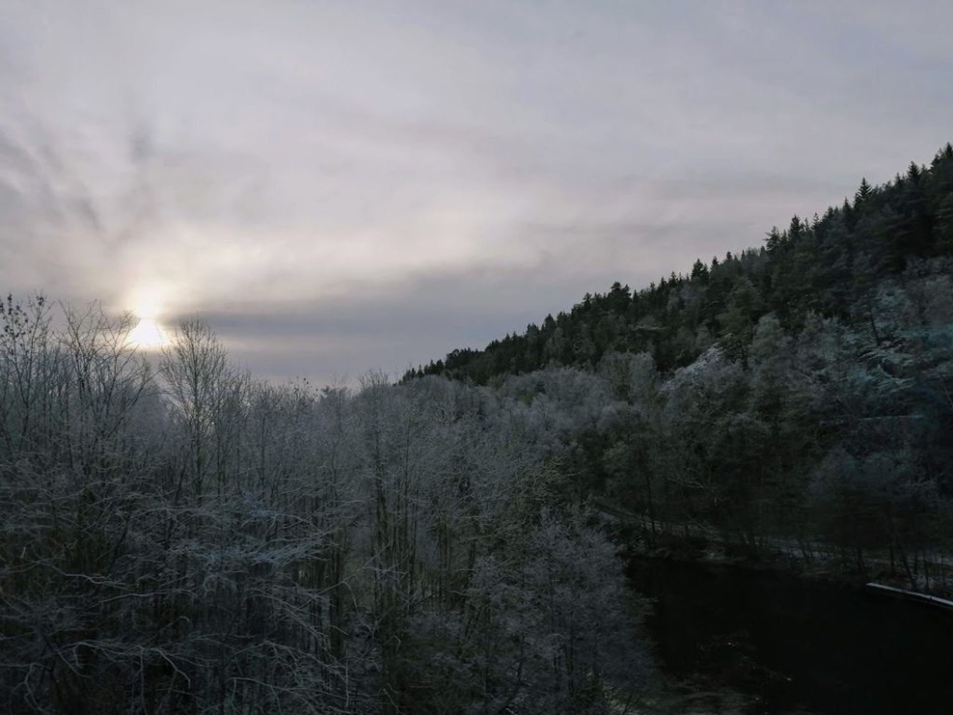 Darkness over snowy forest.