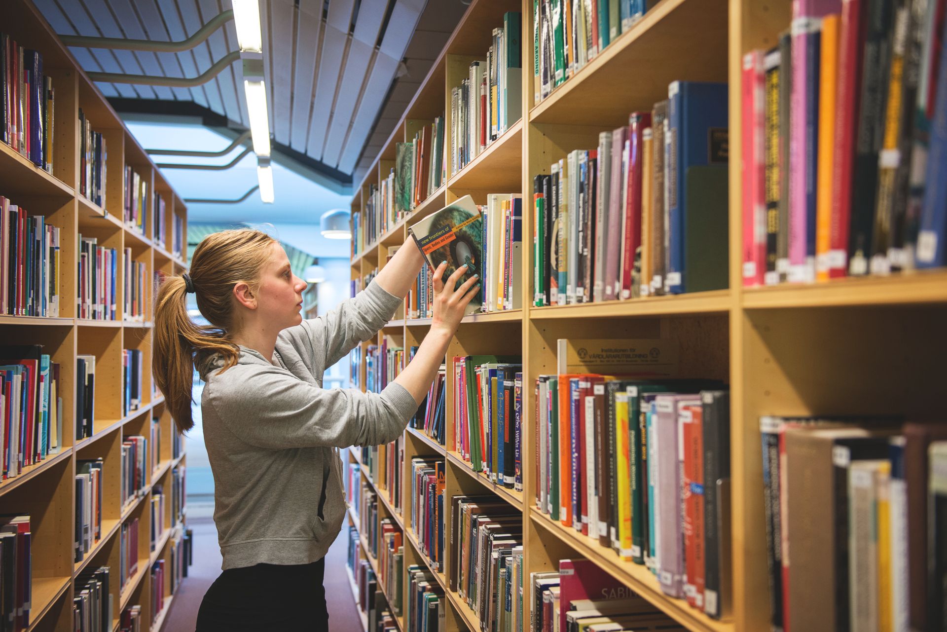 Student in a university library reaching to a high shelf to remove a book.