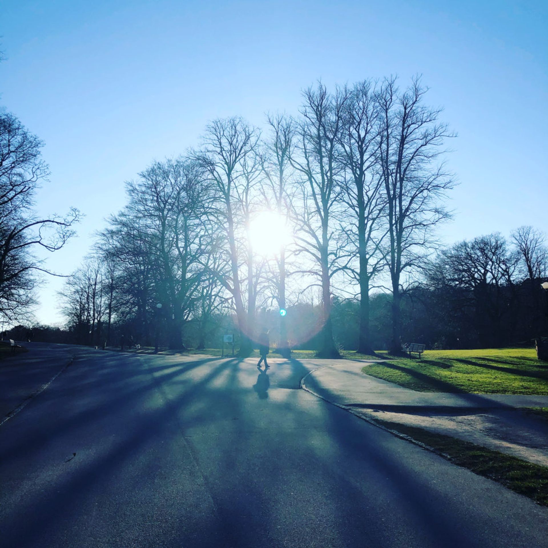 A road going through a park in the centre of Gothenburg.