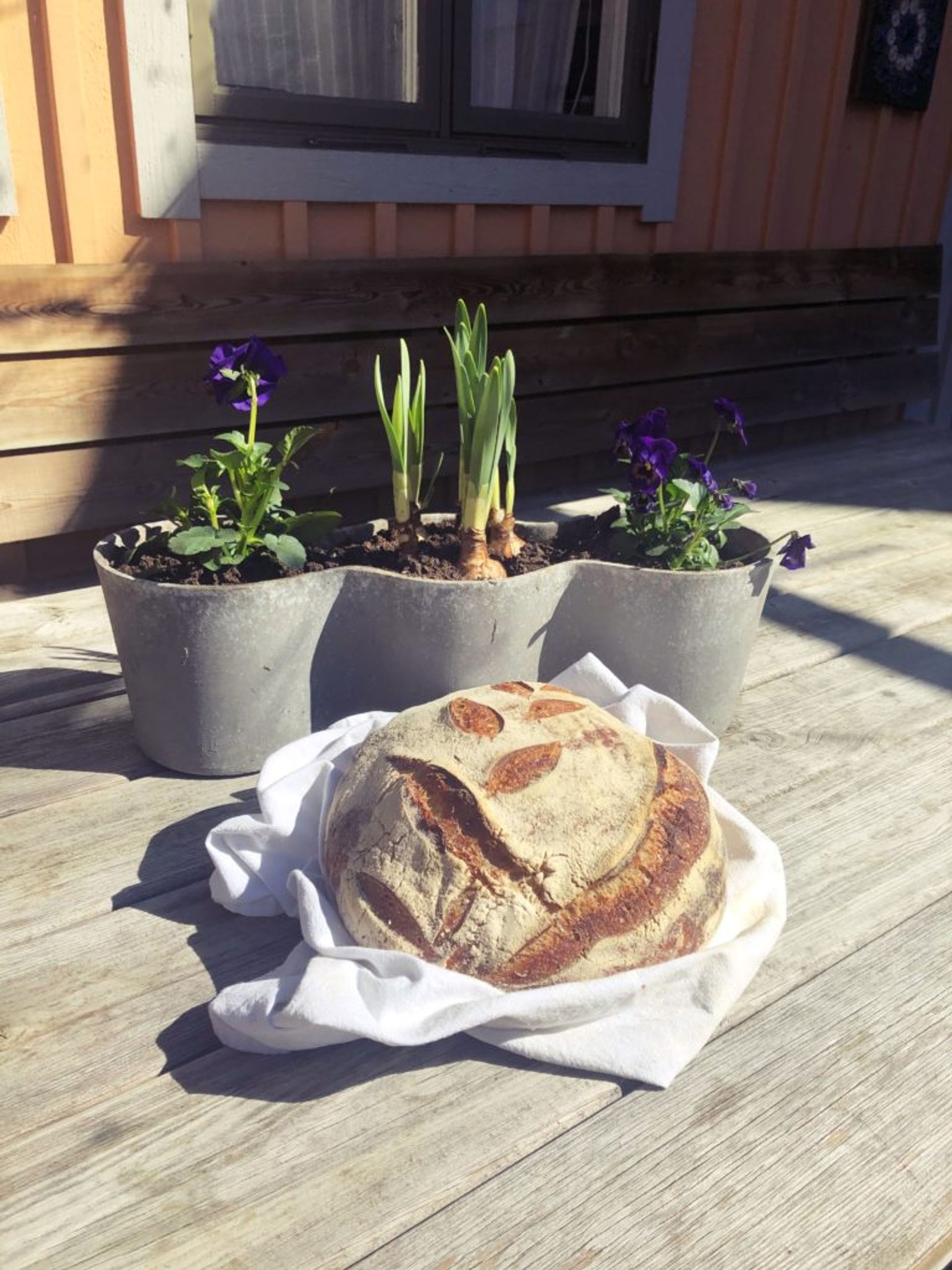 A freshly baked loaf of bread.