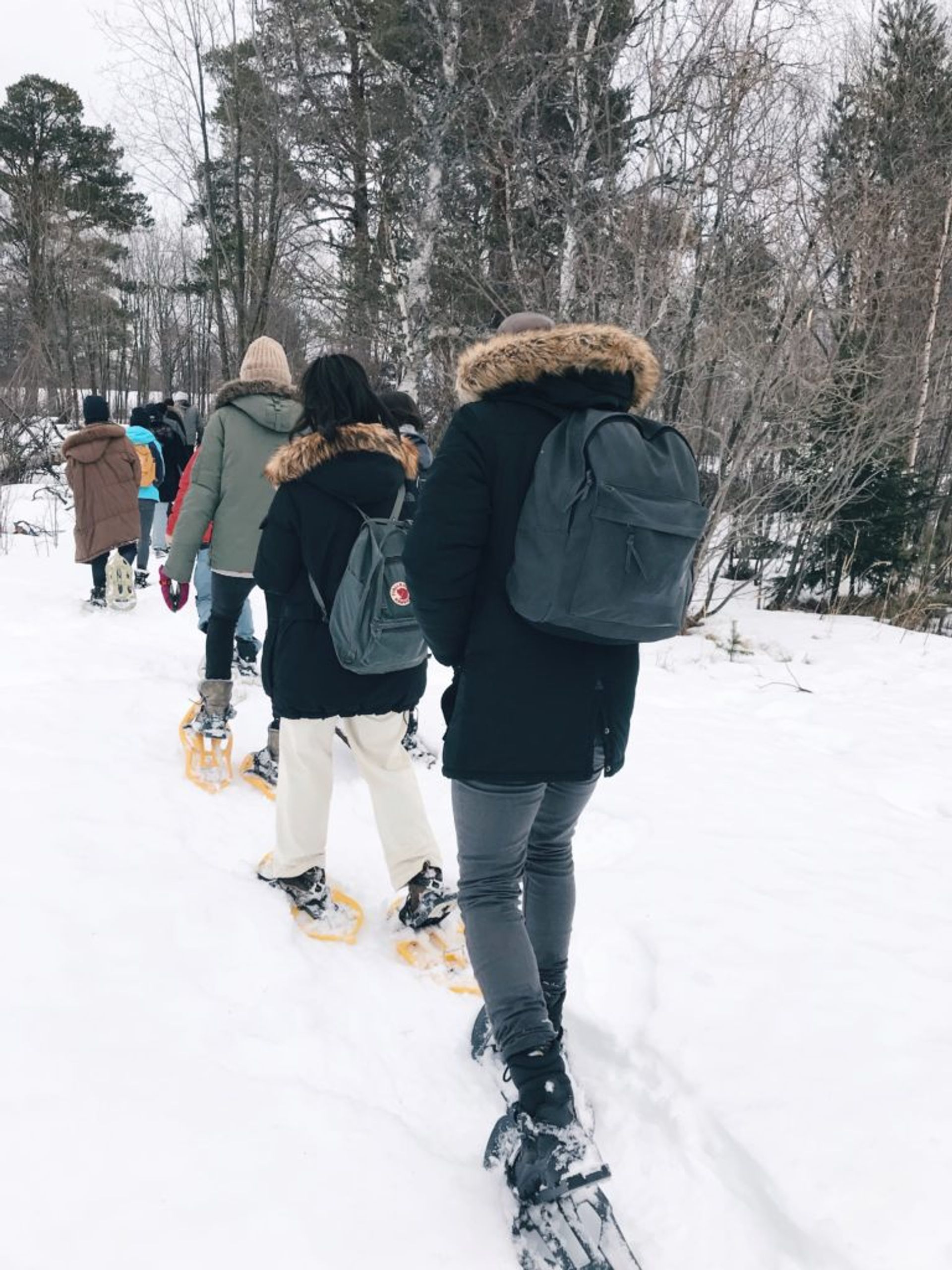 A group of students wearing winter clothing and snowshoes walking in a snowy forrest.