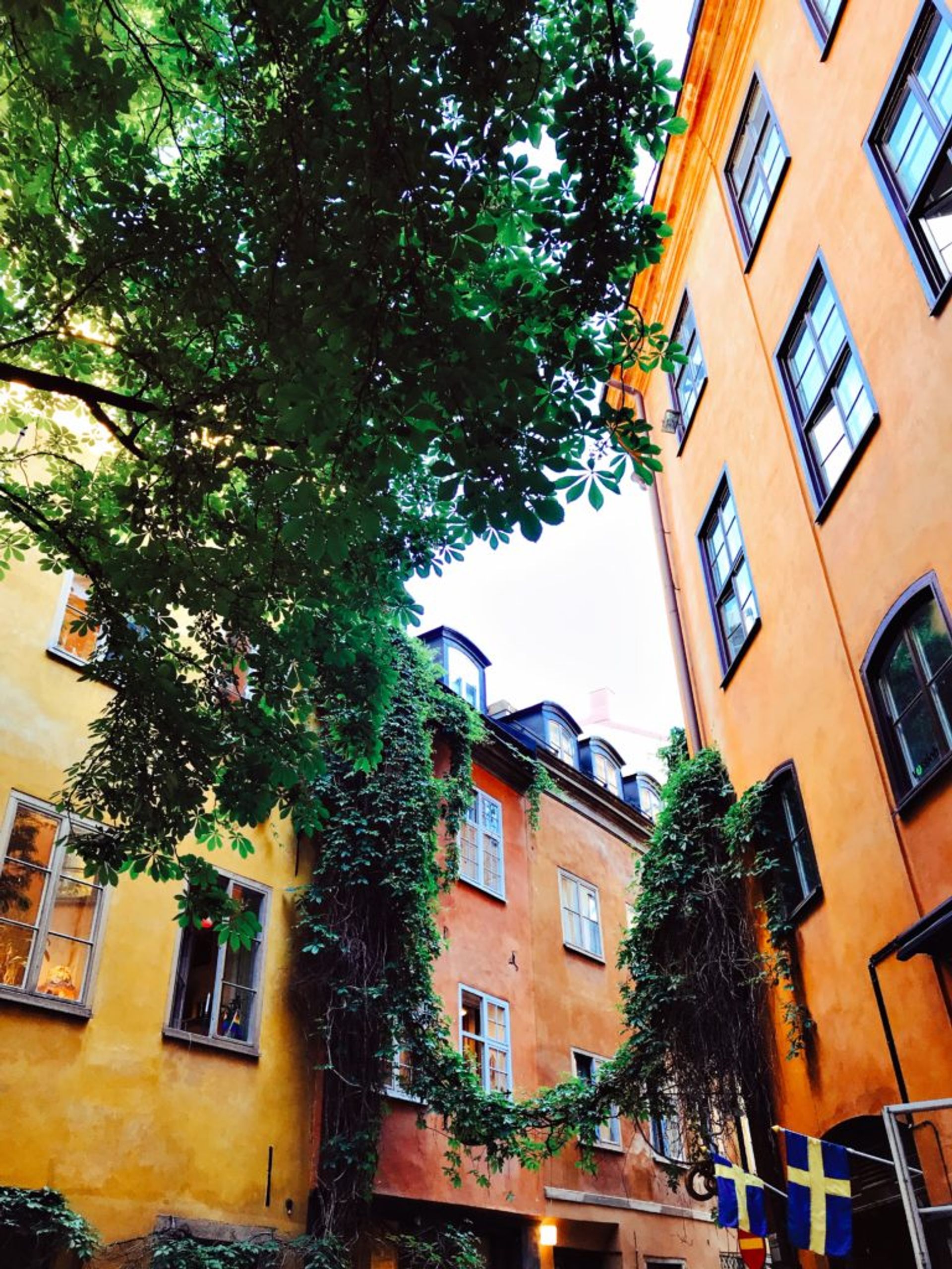 Orange and yellow buildings in Stockholm's Old Town.