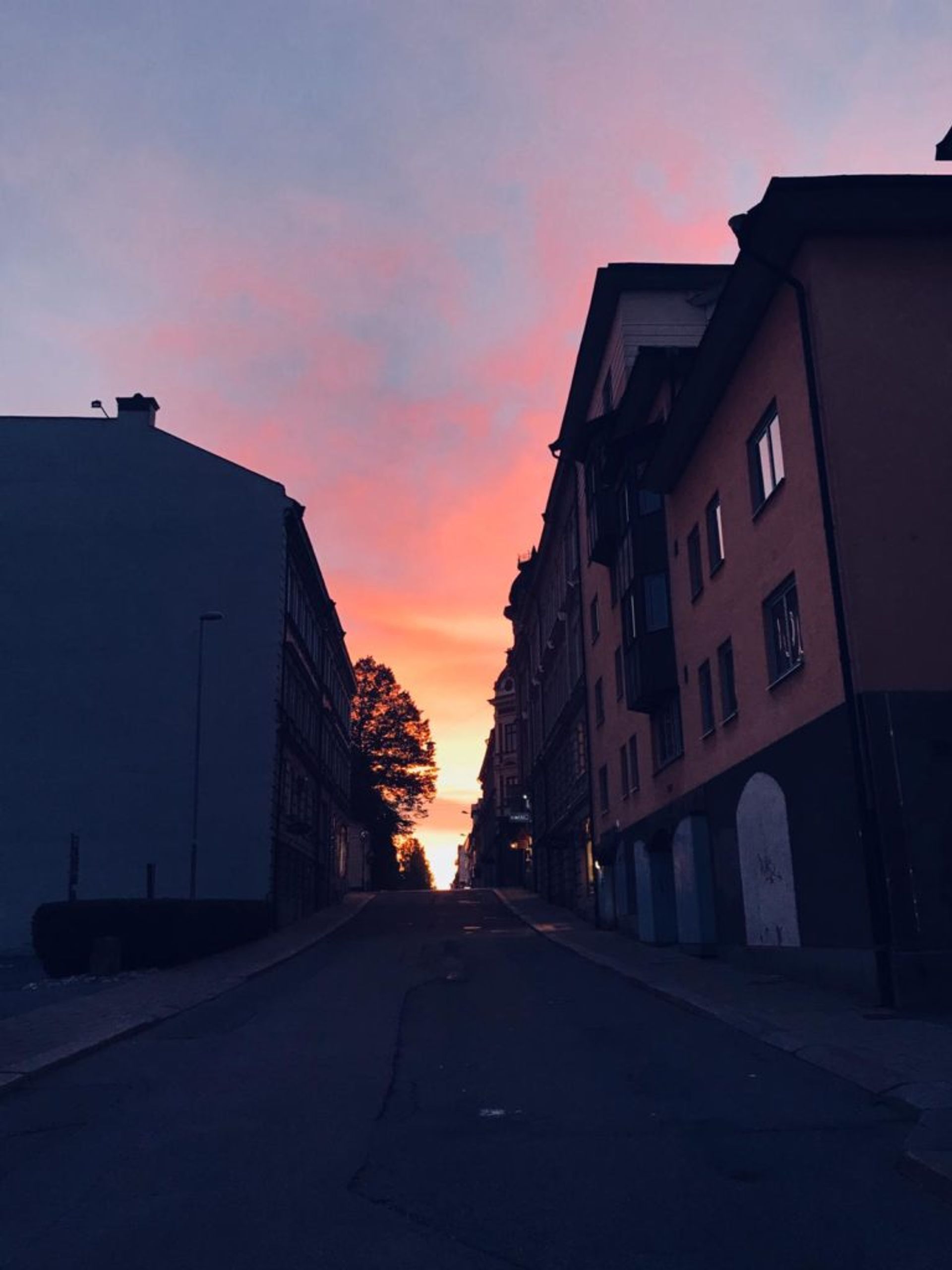 A pink and yellow sunset.