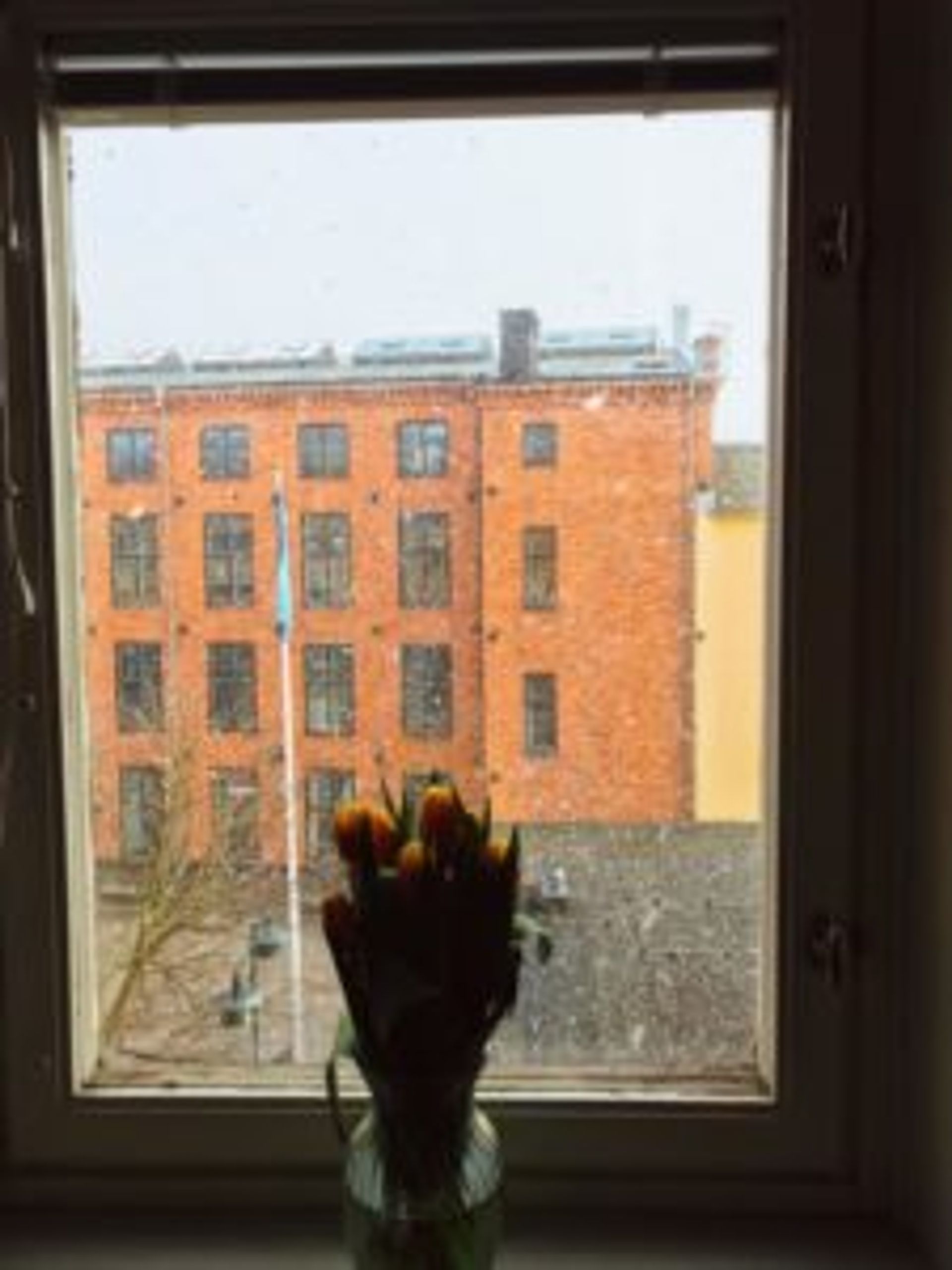 A red brick building seen through a window frame.