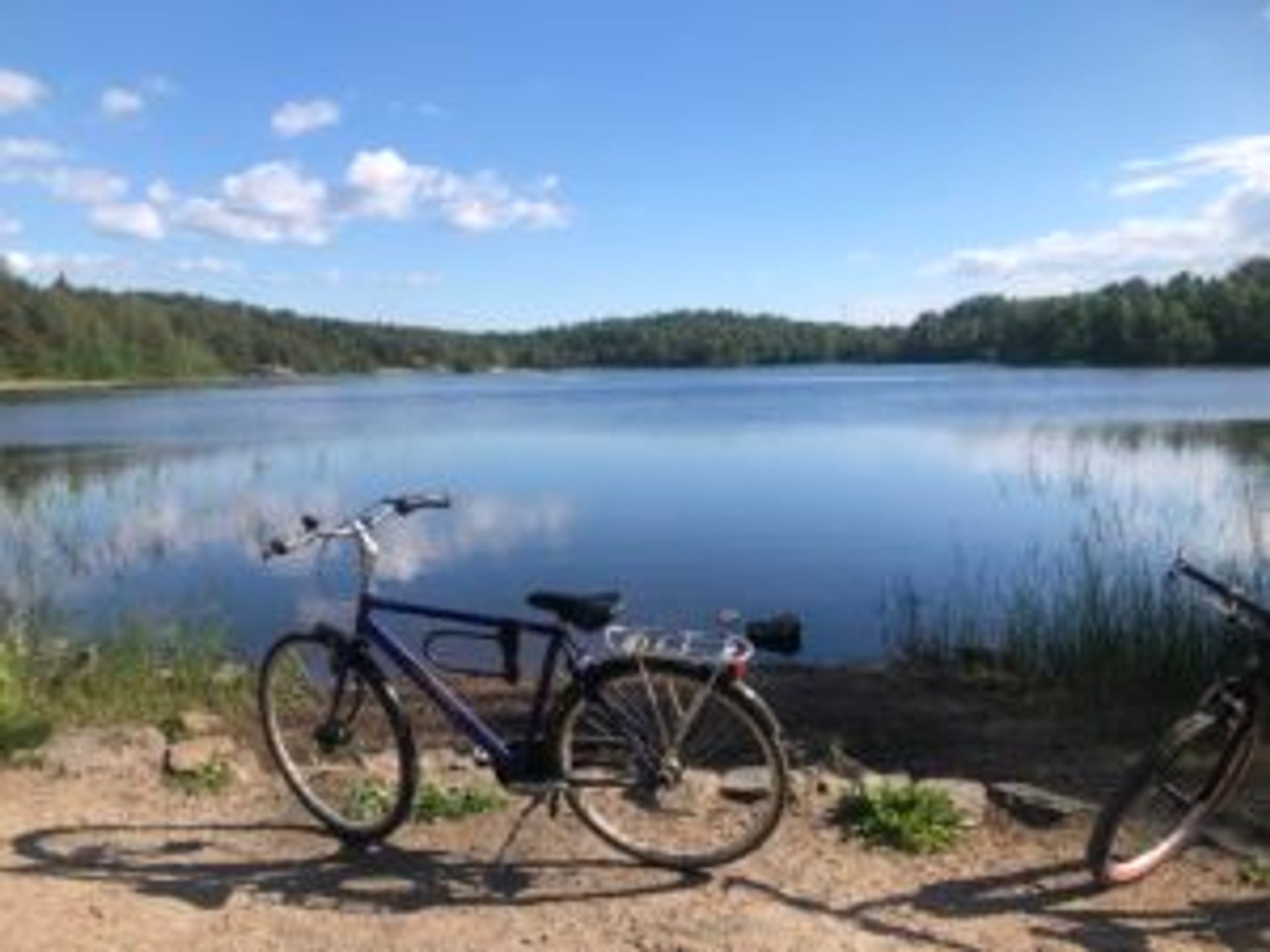 Camilo's blue bicycle in front of a large lake.