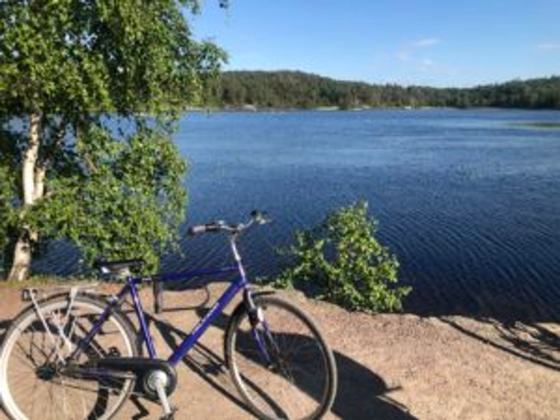 Camilo's blue bicycle in front of a lake.