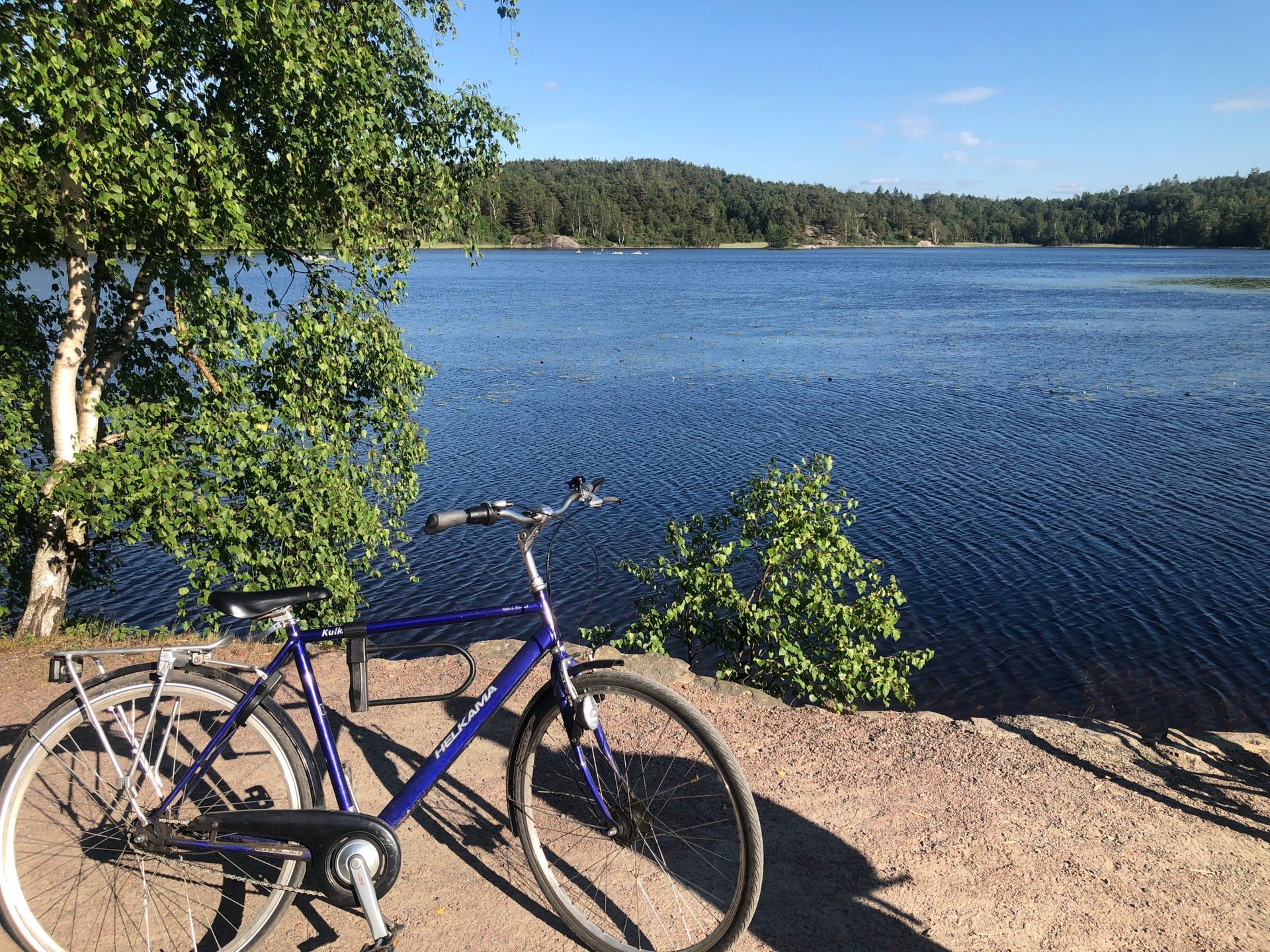 Dark blue bicycle in front of a lake.