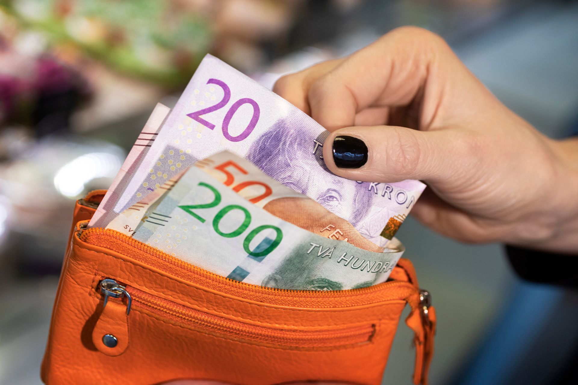 Swedish banknotes are being taken over of an orange purse.