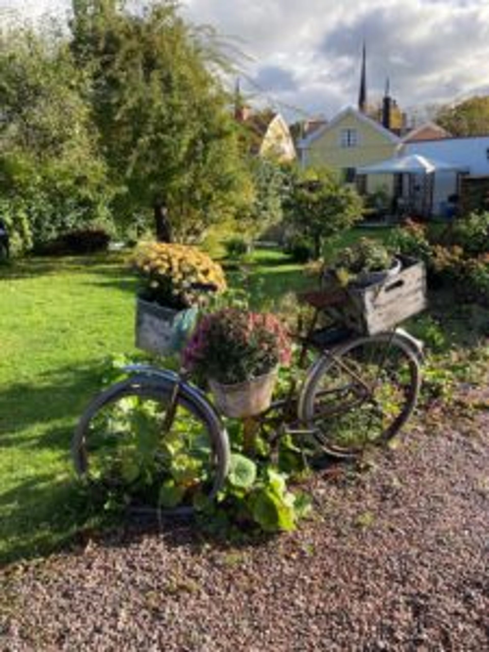 A bicycle used as a decoration in a garden.