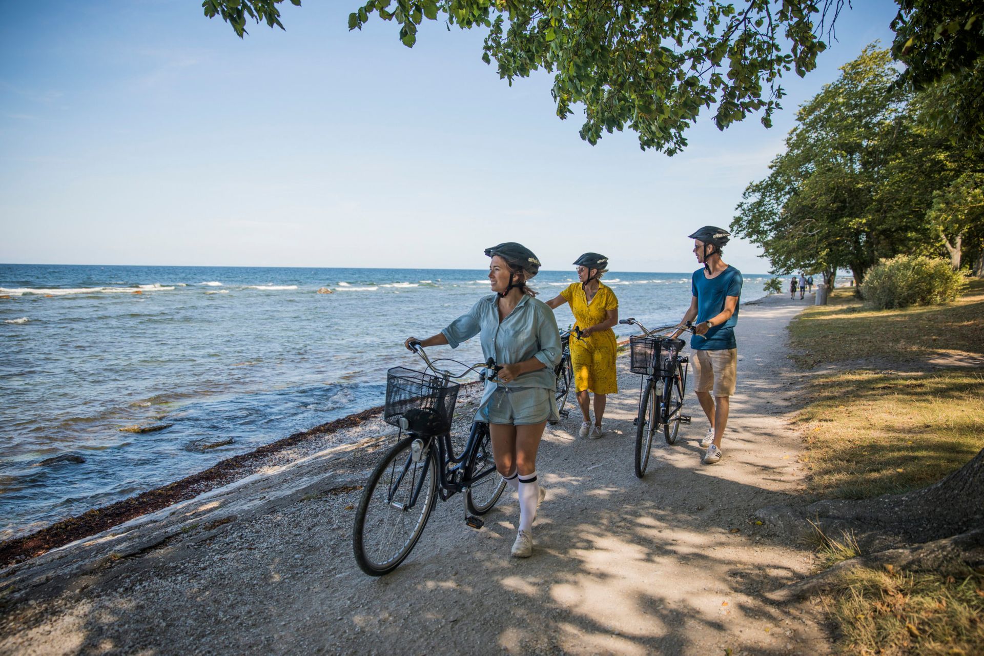 Three people walking along a beach on the island of Gotland with bikes during the summer.