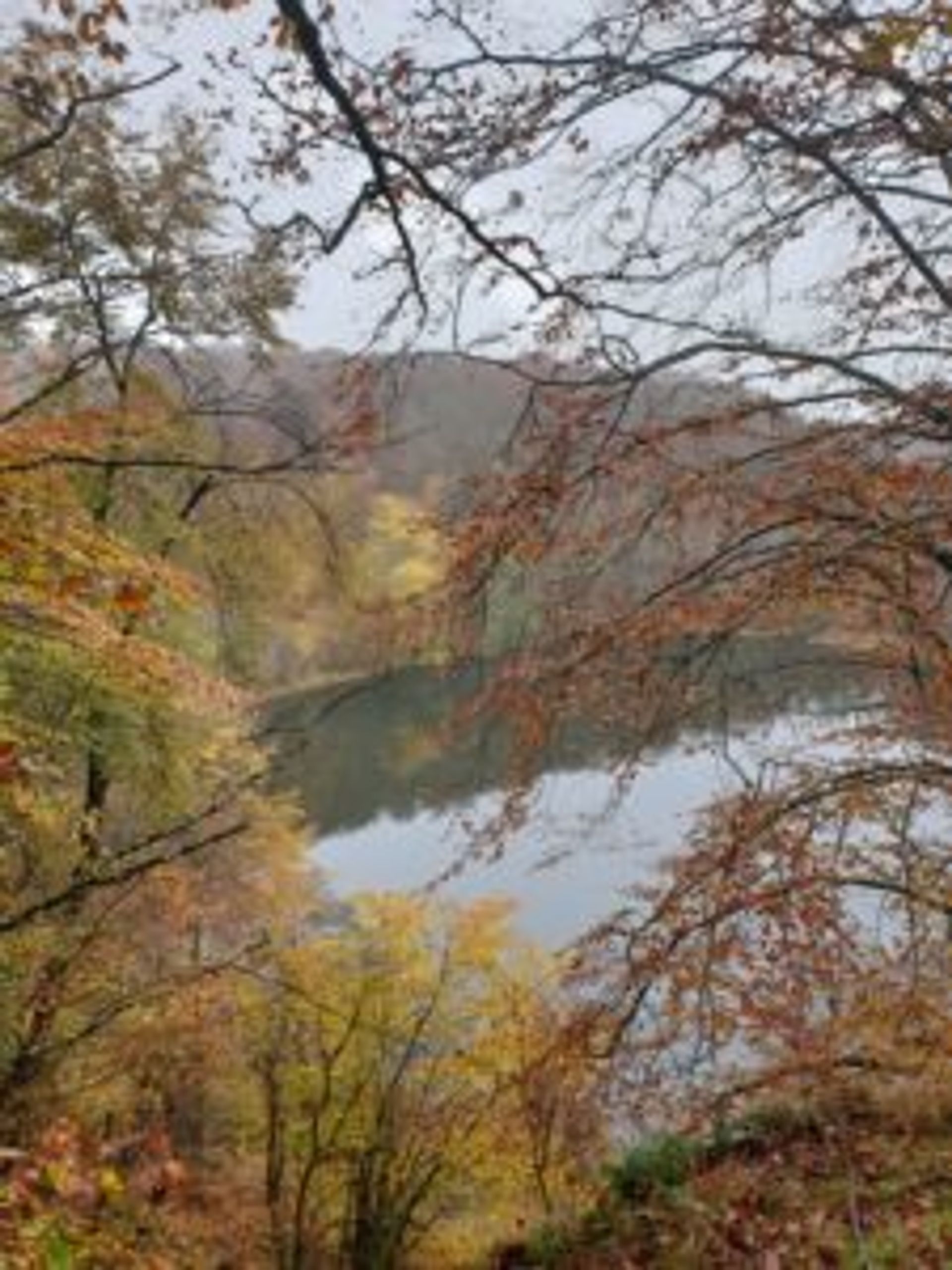 A lake surrounded by trees covered in brown and orange leaves.