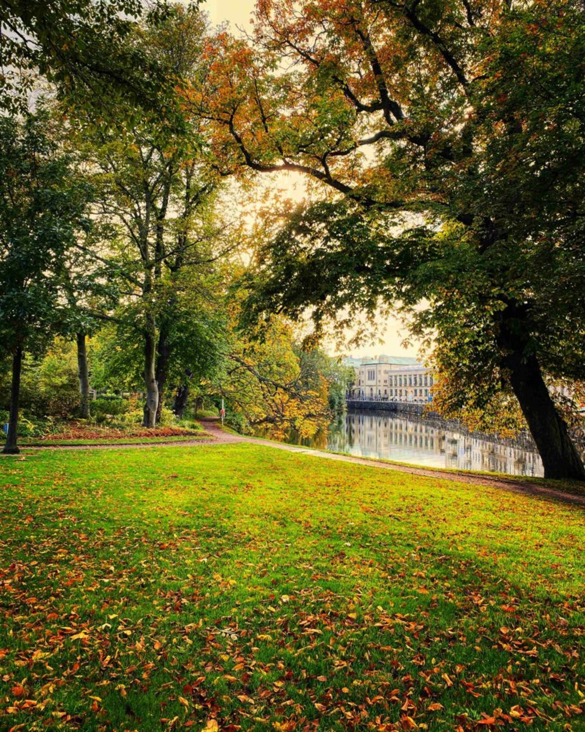 Trees overlooking the river in the centre of Gothenburg.