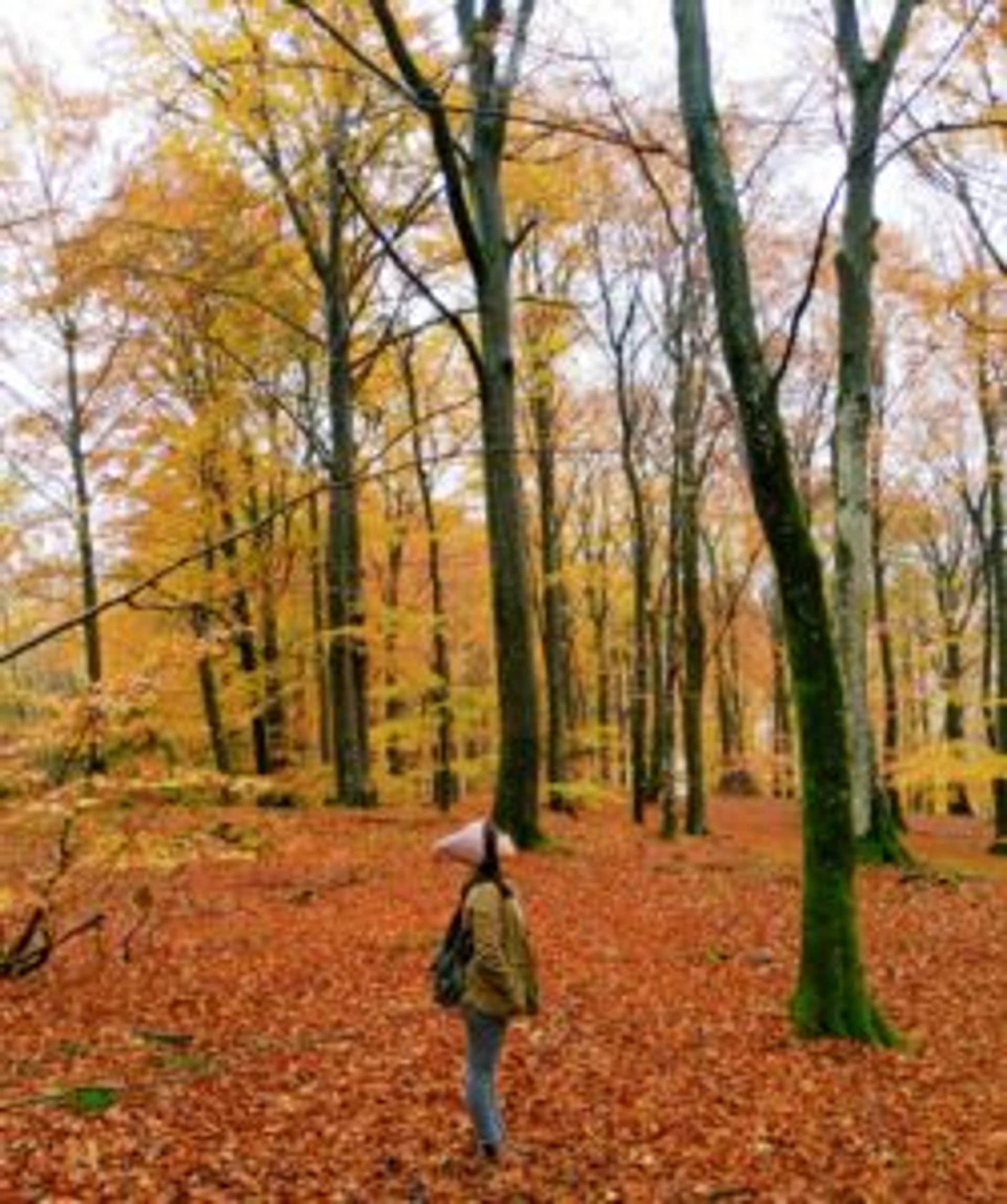 Nguyên standing in the middle of the forrest. The ground is covered by fallen orange and brown leaves.