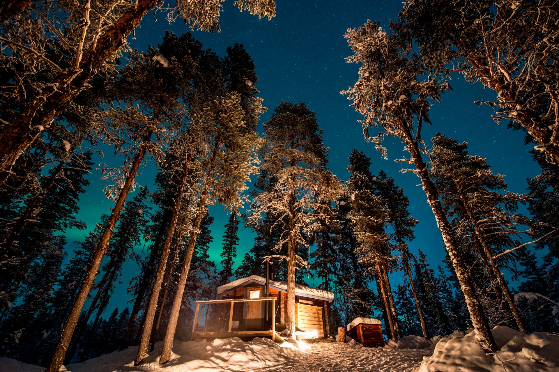 A cabin in a snowy forrest at night.