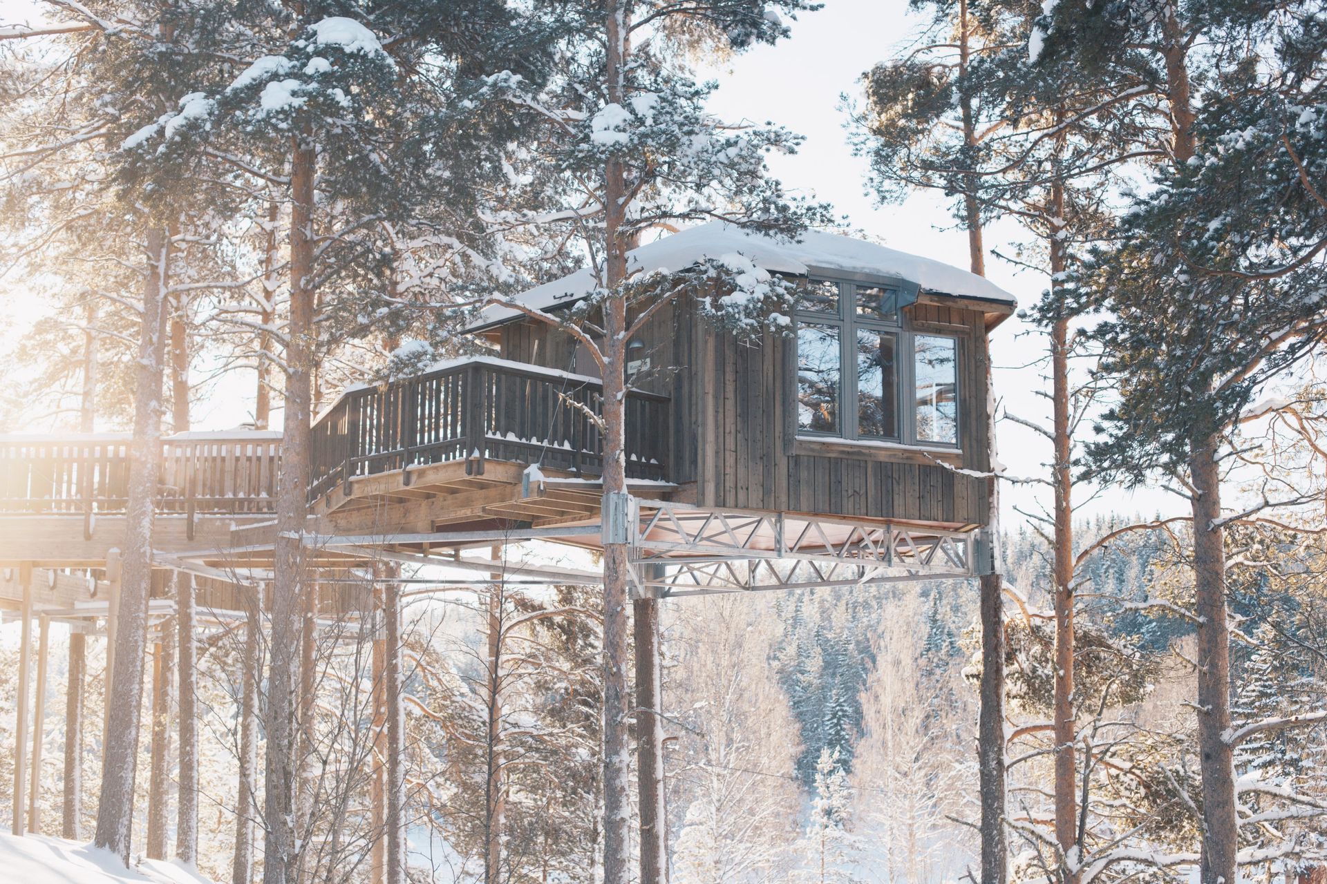 Wooden treehouse structure elevated in a snowy forrest.