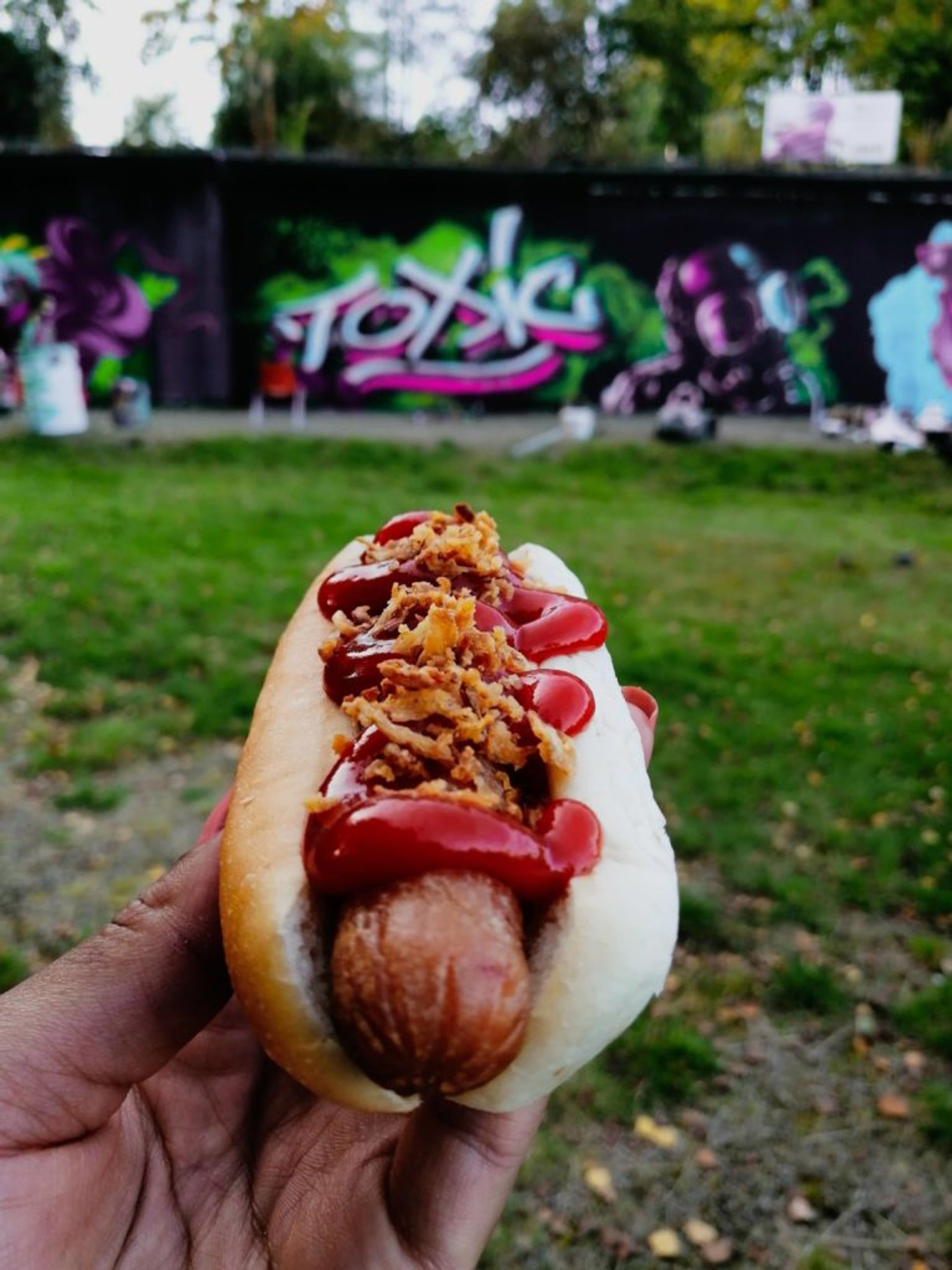 A hot-dog topped with ketchup and fried onions. 