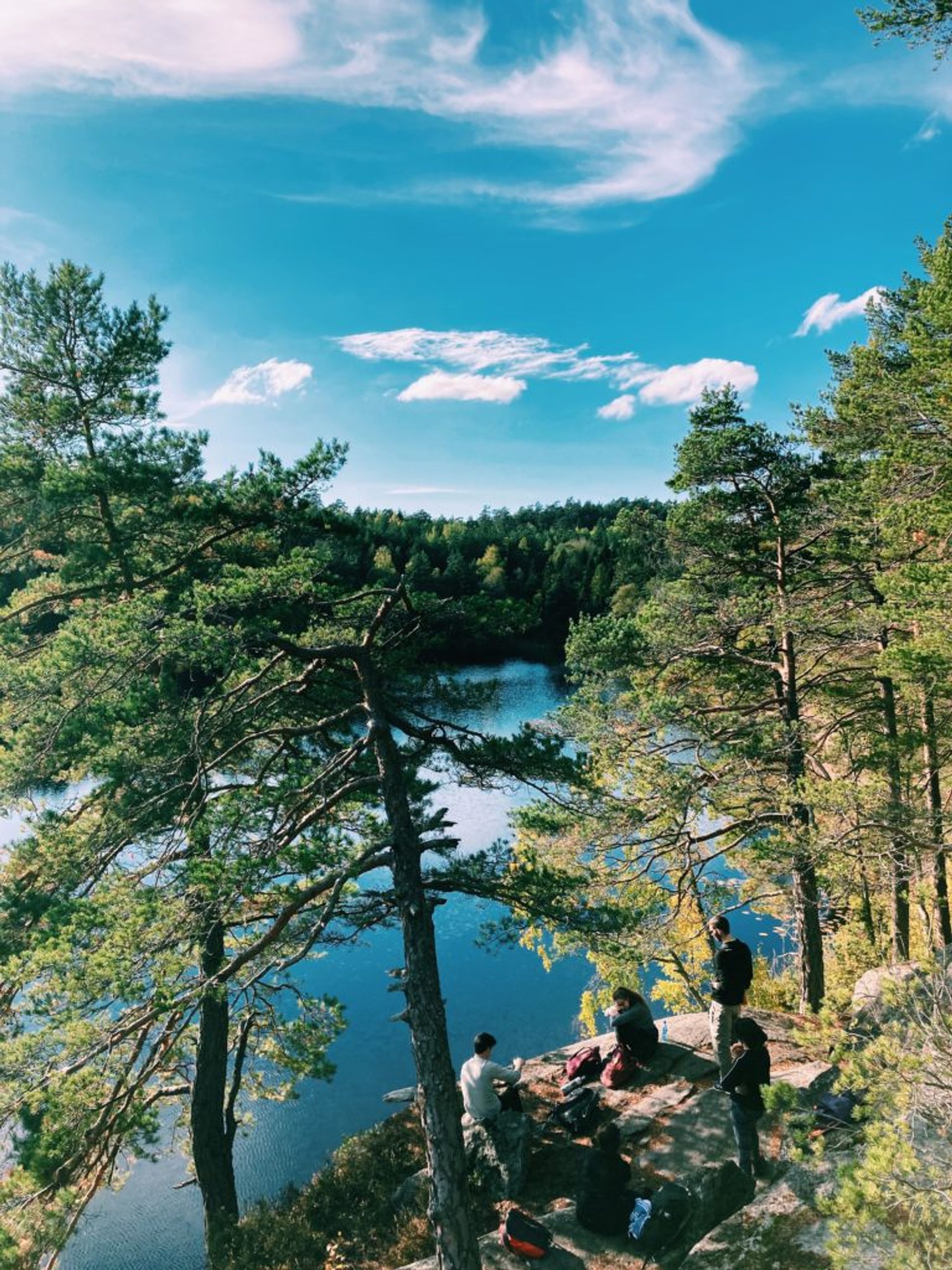 Picture of trees and water