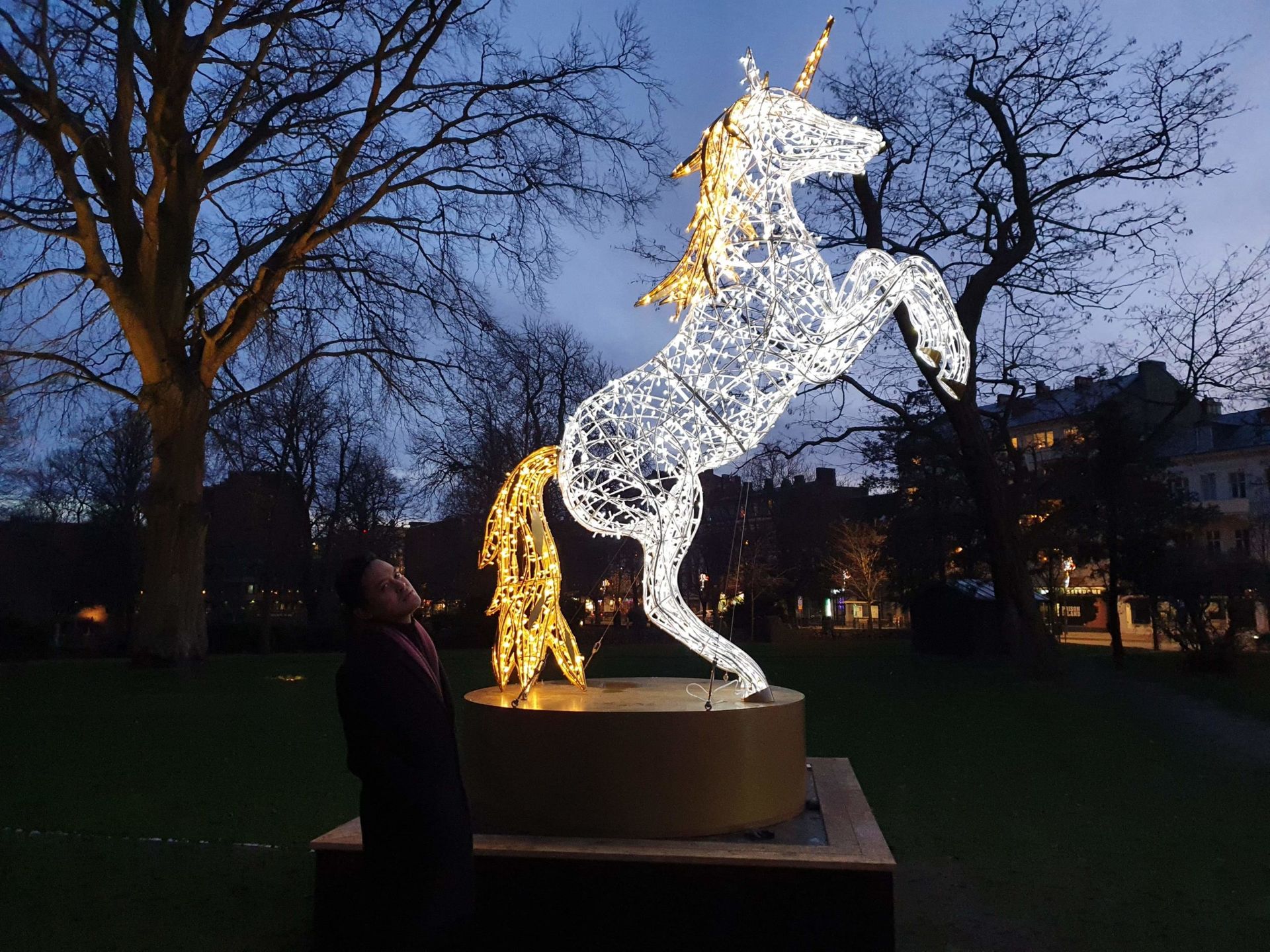 A light sculpture of a unicorn with white lights and a golden tail, mane and horn