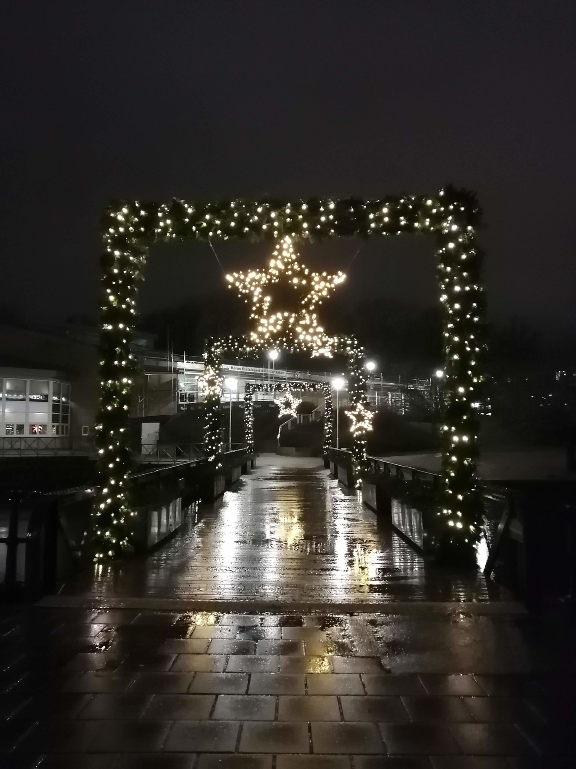 Light display around arched hedges, with a golden star in the centre