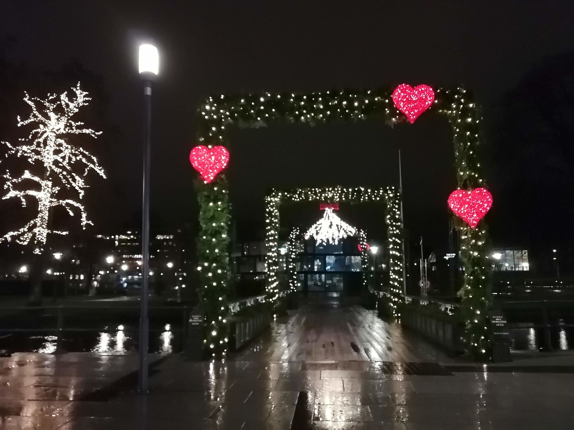 Light display around arched hedges, with bright red hearts and a tree full of lights in the background