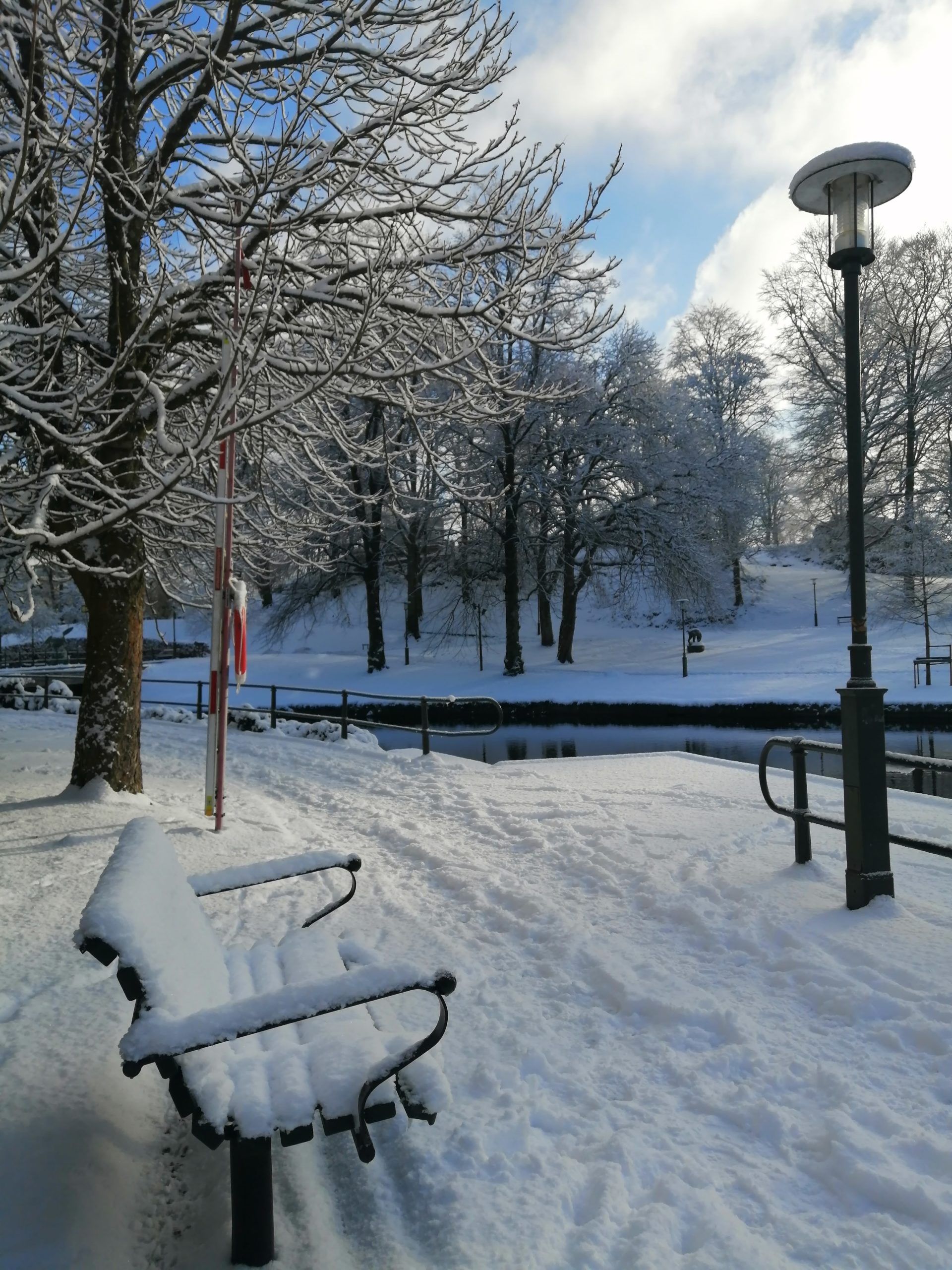 A bench surrounded by trees covered in snow, facing a frozen riverbank