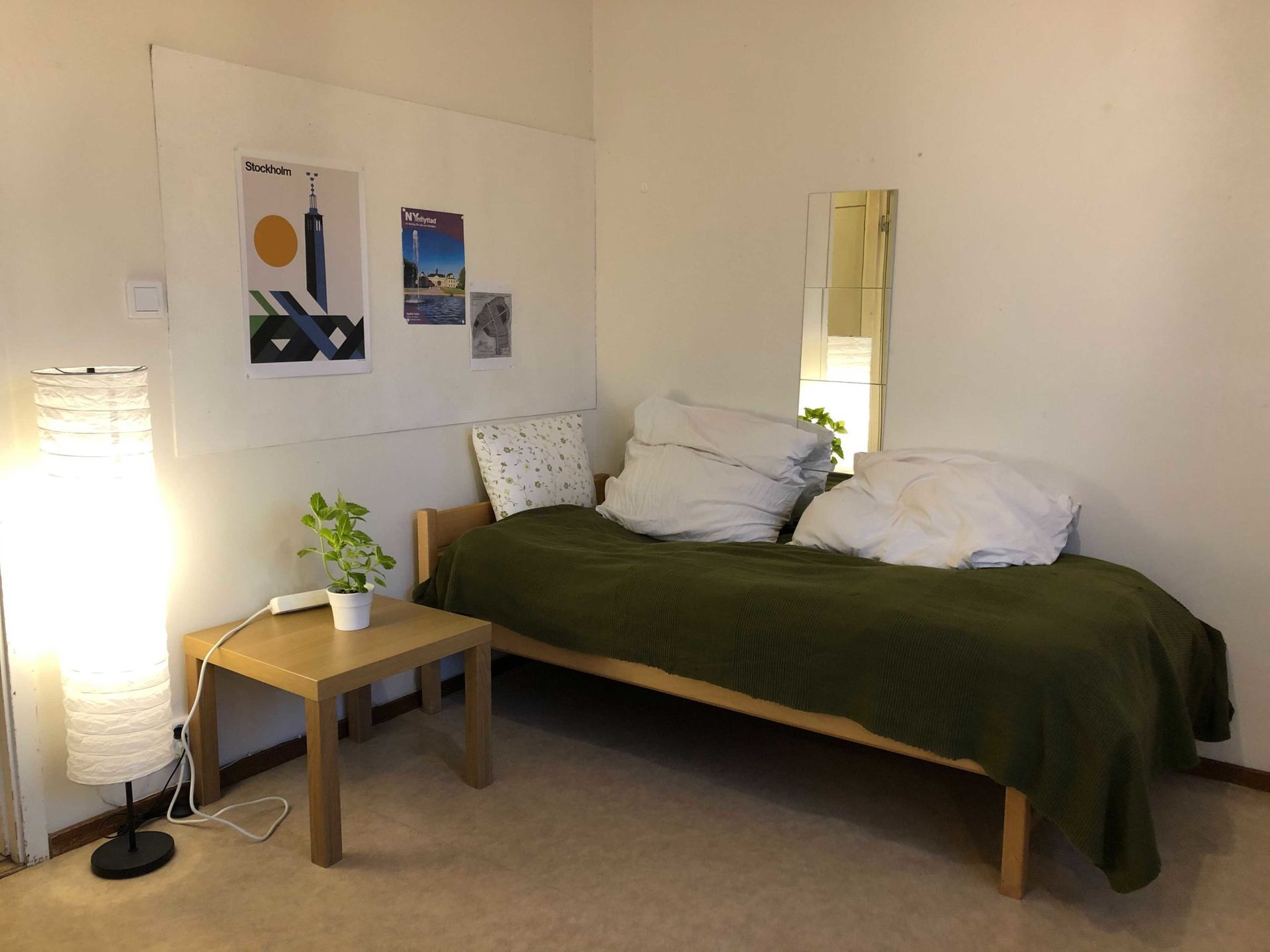 A twin bed with an olive green bedspread and side table with a plant