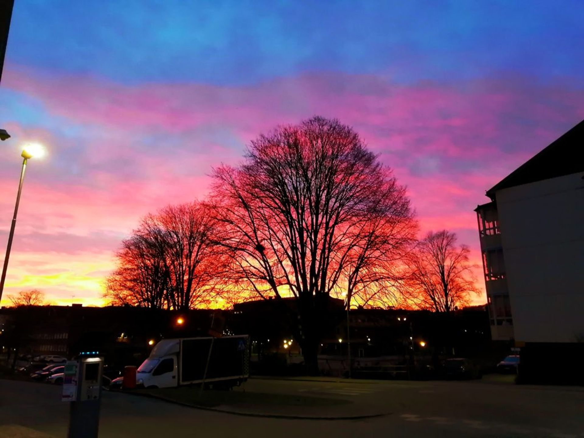 silhouette of a large tree in front of a colourful sunset in rainbow colours of blue, purple, pinks, orange, red and yellow