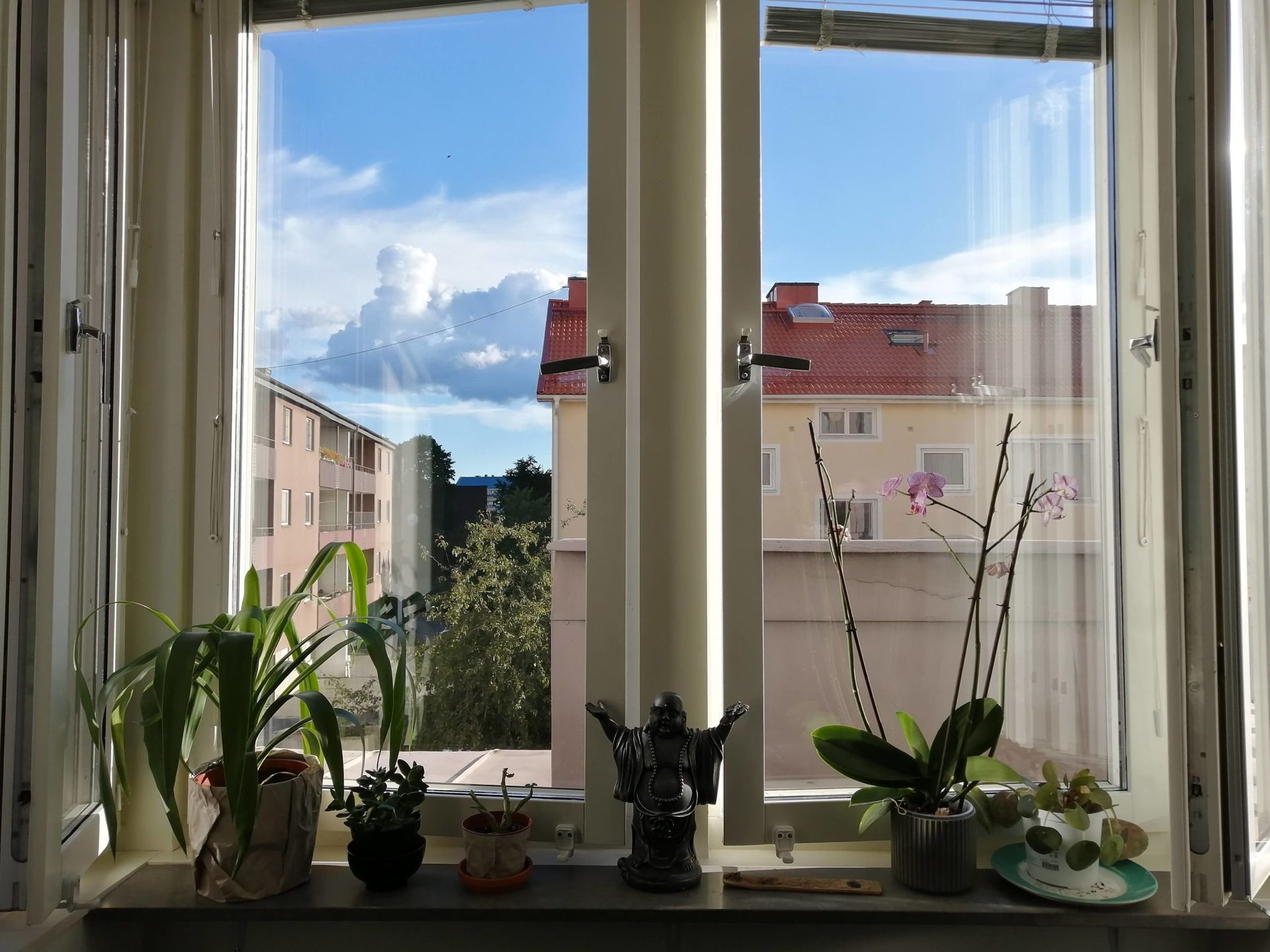 Plants and a Buddha statue on a window sill