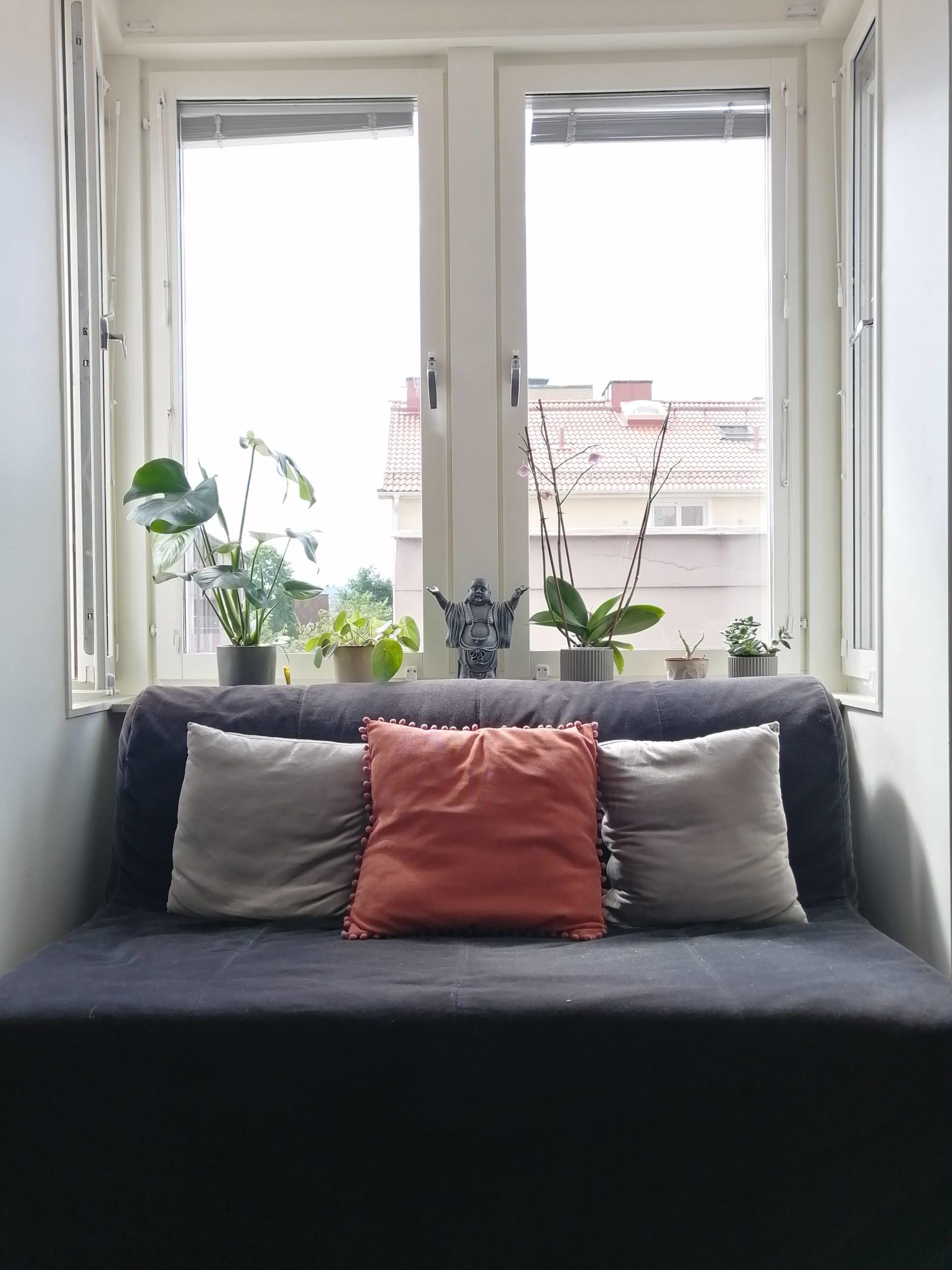 A sofa with cushions and plants on the windowsill behind it