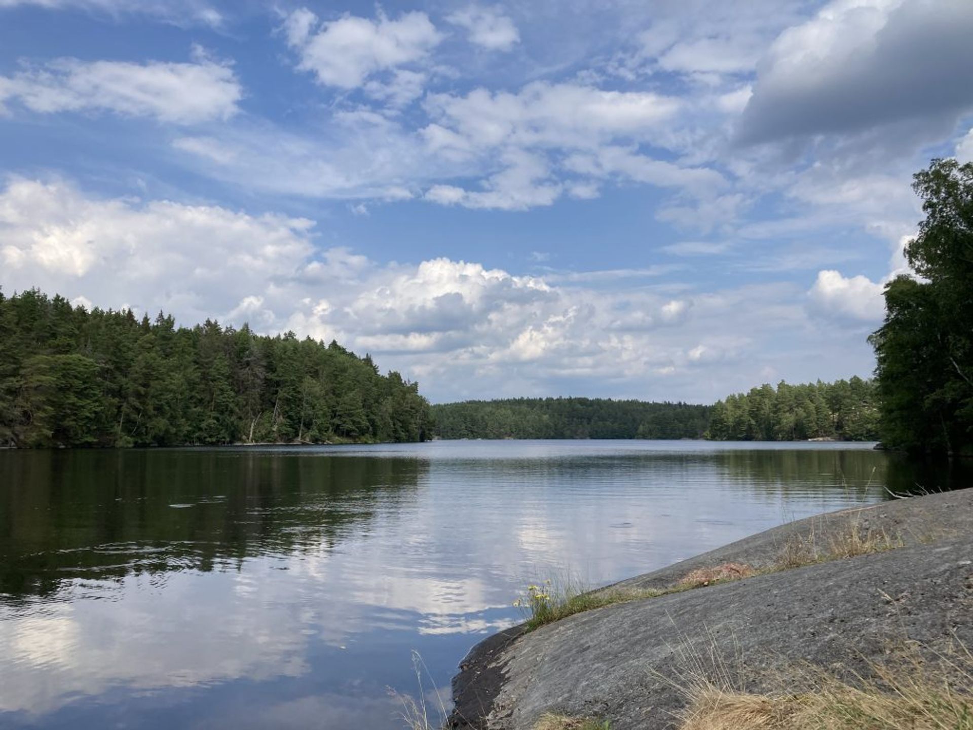 A view of a lake surrounded by trees.