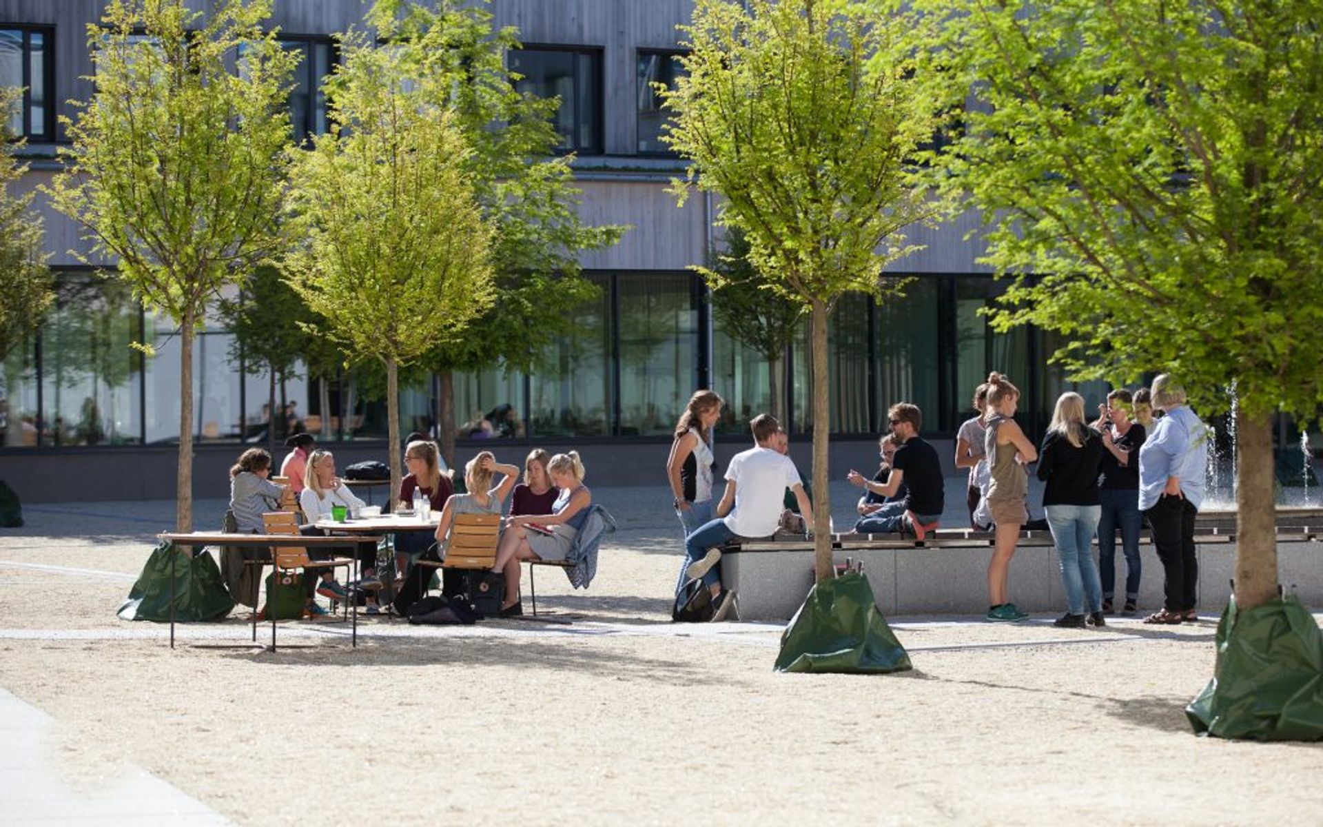 Students sitting on benches outside of a Swedish University of Agricultural Sciences campus building in Uppsala.