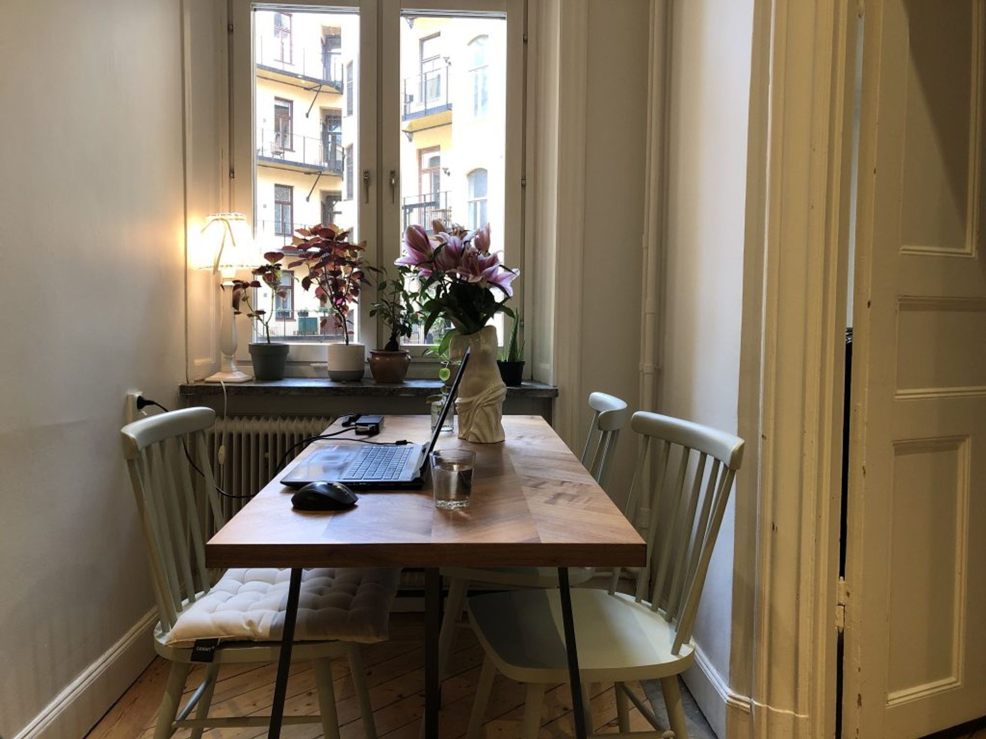 Picture showing dining room with second hand chairs and indoor plants on the windows.