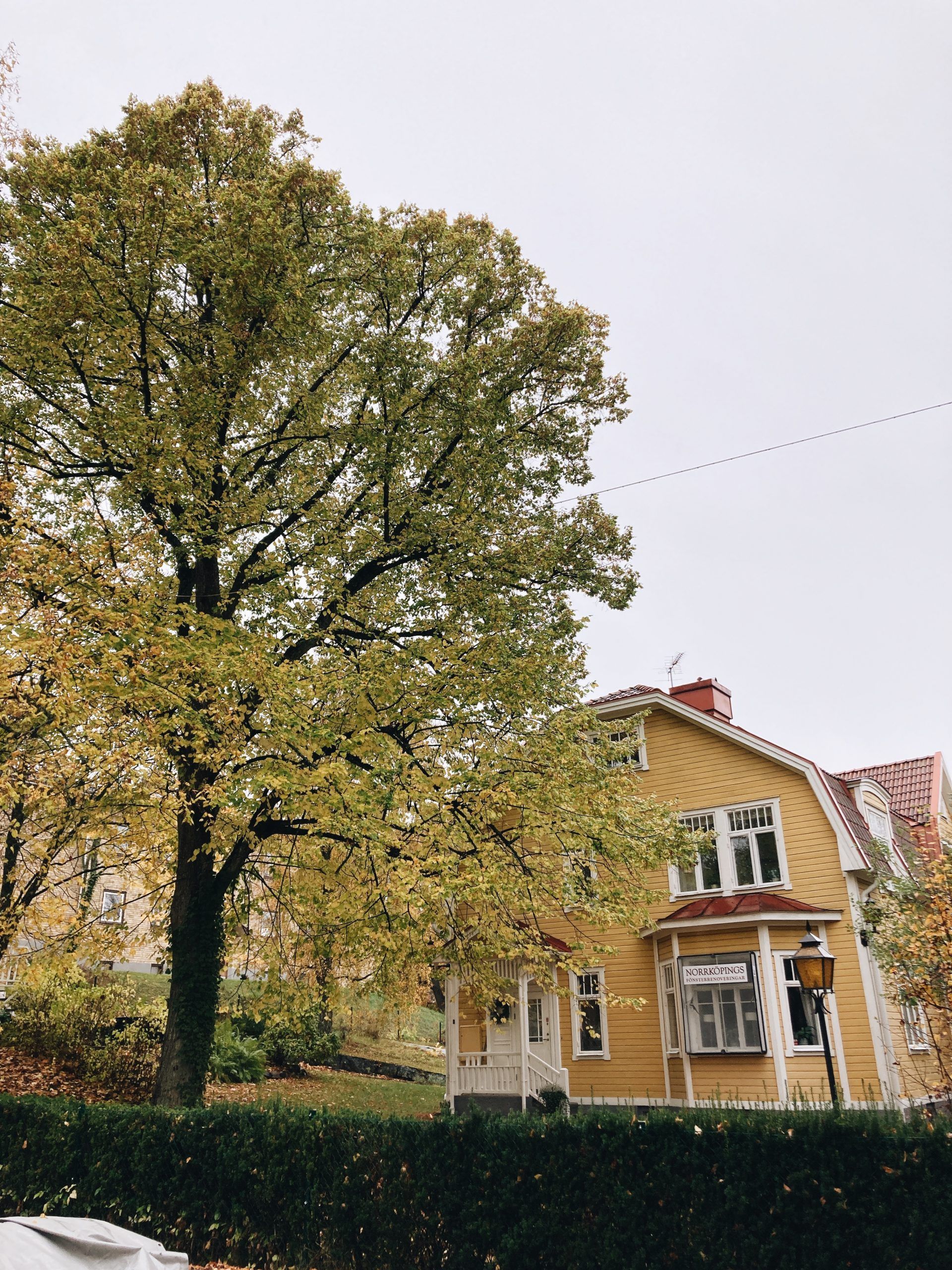 picture of fall leaves and house