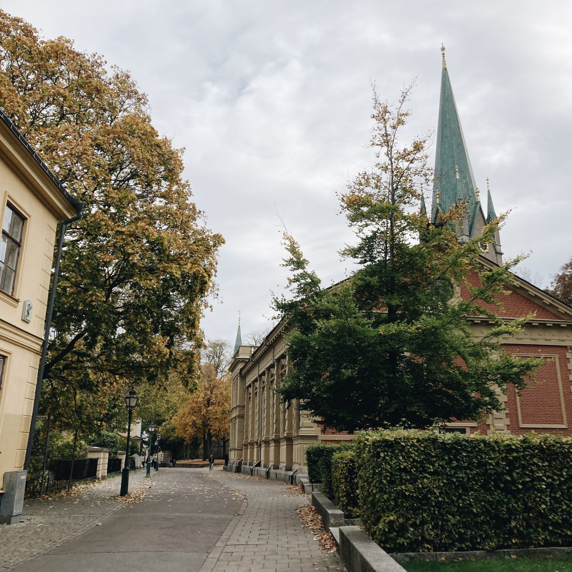 Photo of church and trees