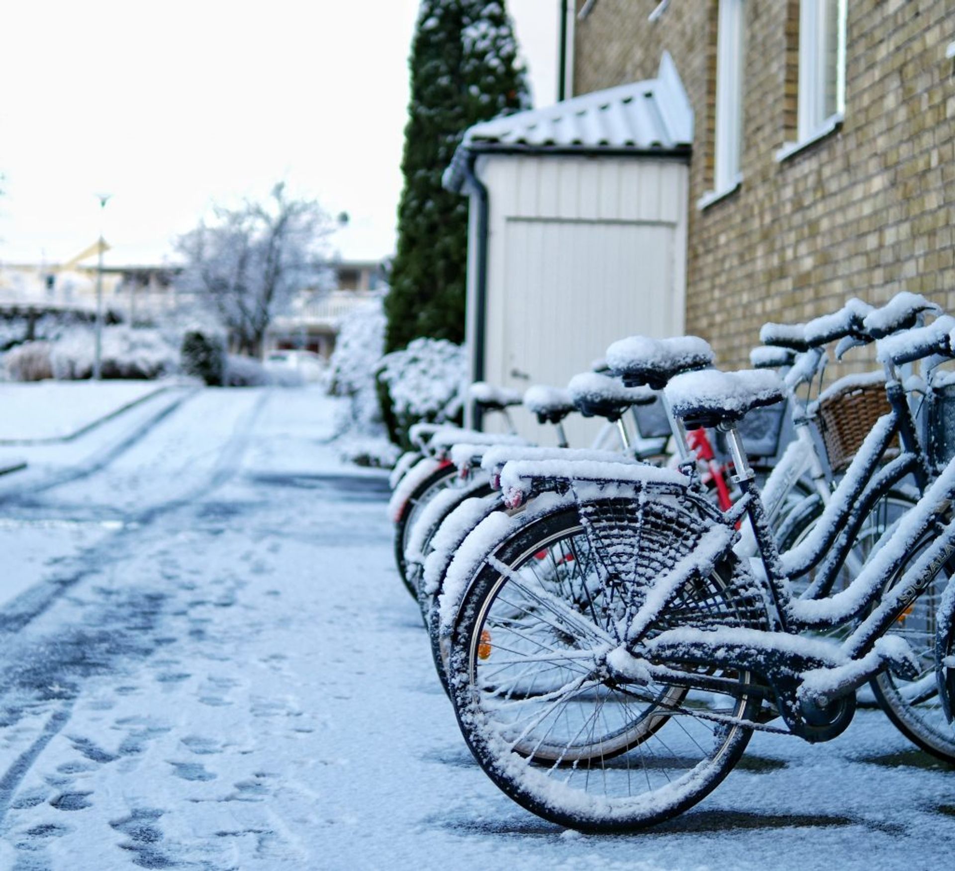 Snow on bikes parked outside.